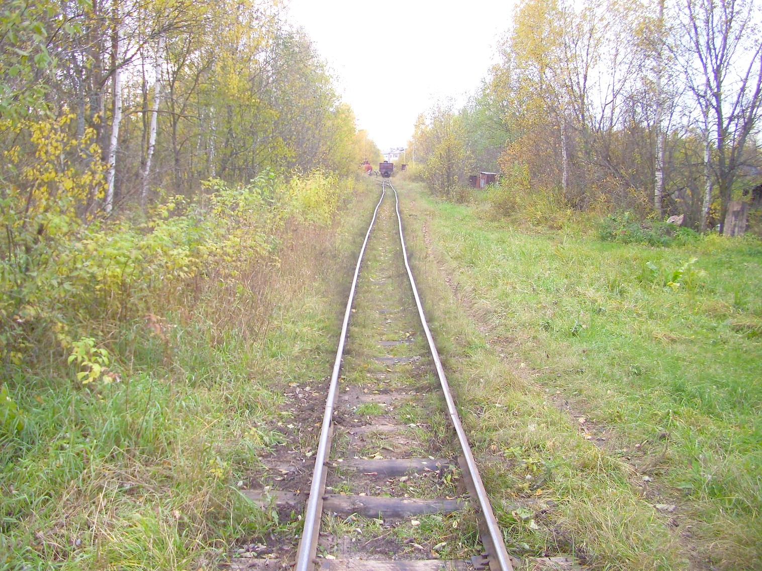 Узкоколейная  железная дорога Гороховского торфопредприятия  —  фотографии, сделанные в 2011 году (часть 5)