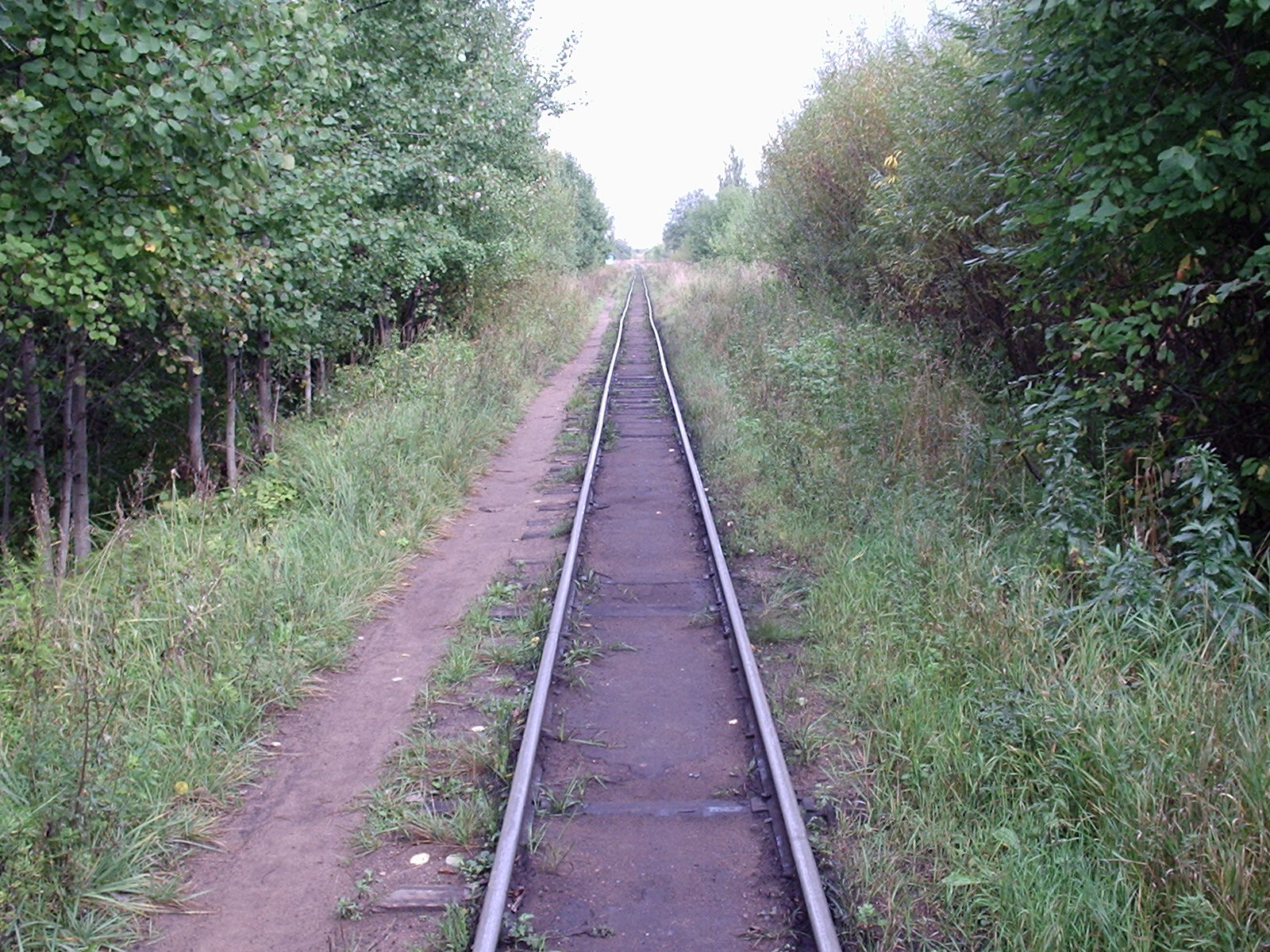 Узкоколейная железная дорога Каринского транспортного управления — фотографии, сделанные в 2006 году (часть 7)