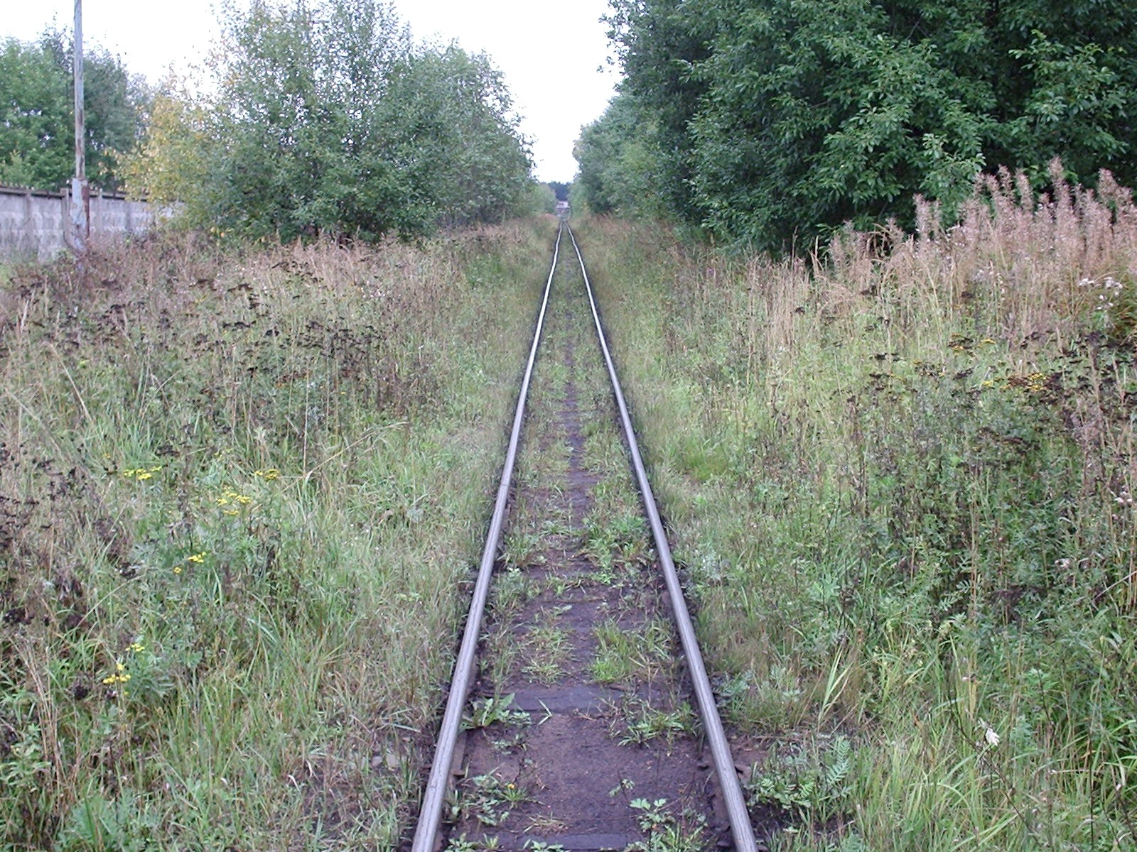 Узкоколейная железная дорога Каринского транспортного управления — фотографии, сделанные в 2006 году (часть 4)