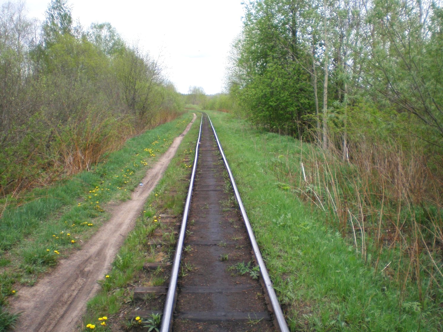 Узкоколейная железная дорога Каринского транспортного управления — фотографии, сделанные в 2008 году (часть 8)