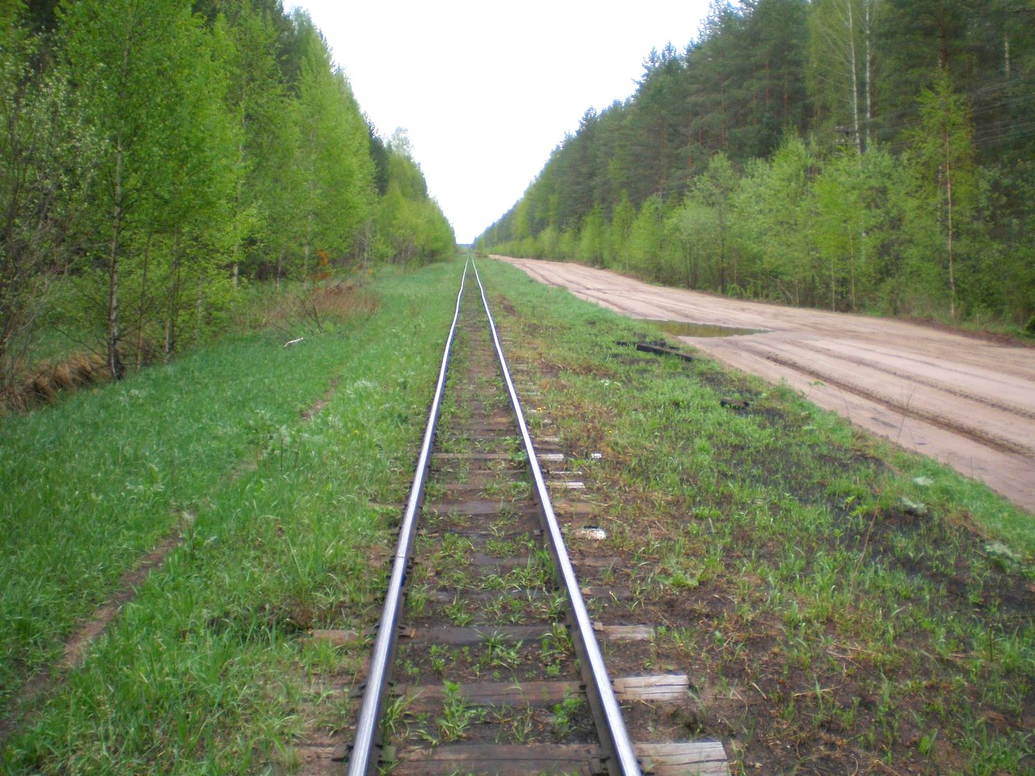 Узкоколейная железная дорога Каринского транспортного управления — фотографии, сделанные в 2008 году (часть 9)