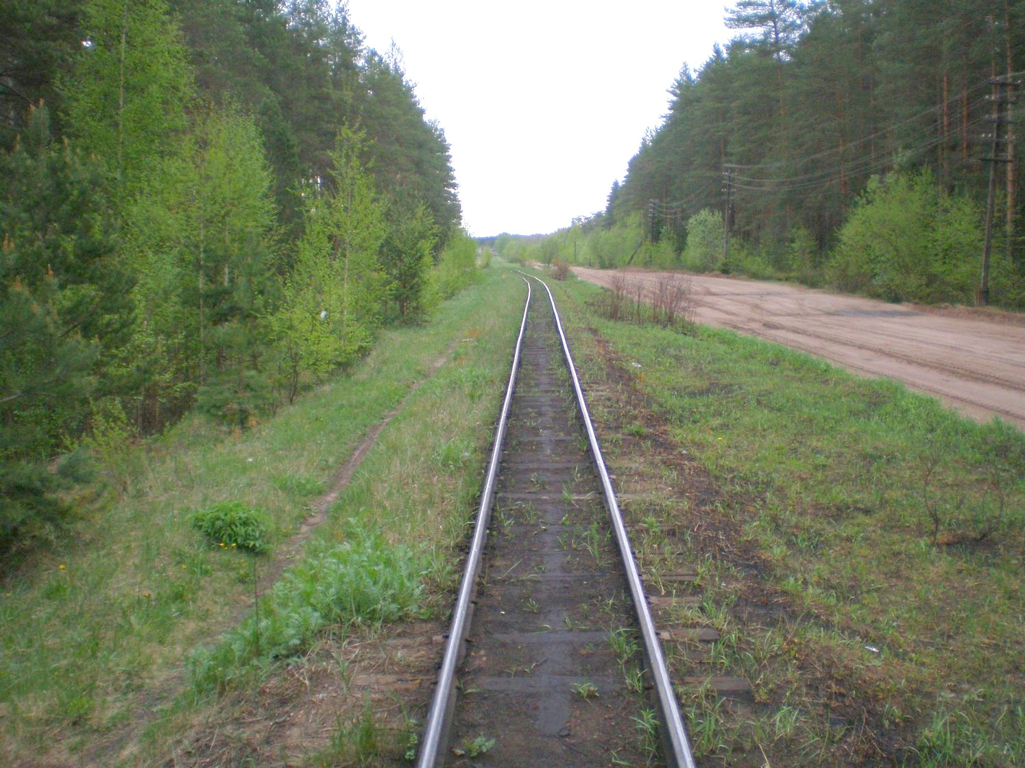Узкоколейная железная дорога Каринского транспортного управления — фотографии, сделанные в 2008 году (часть 10)