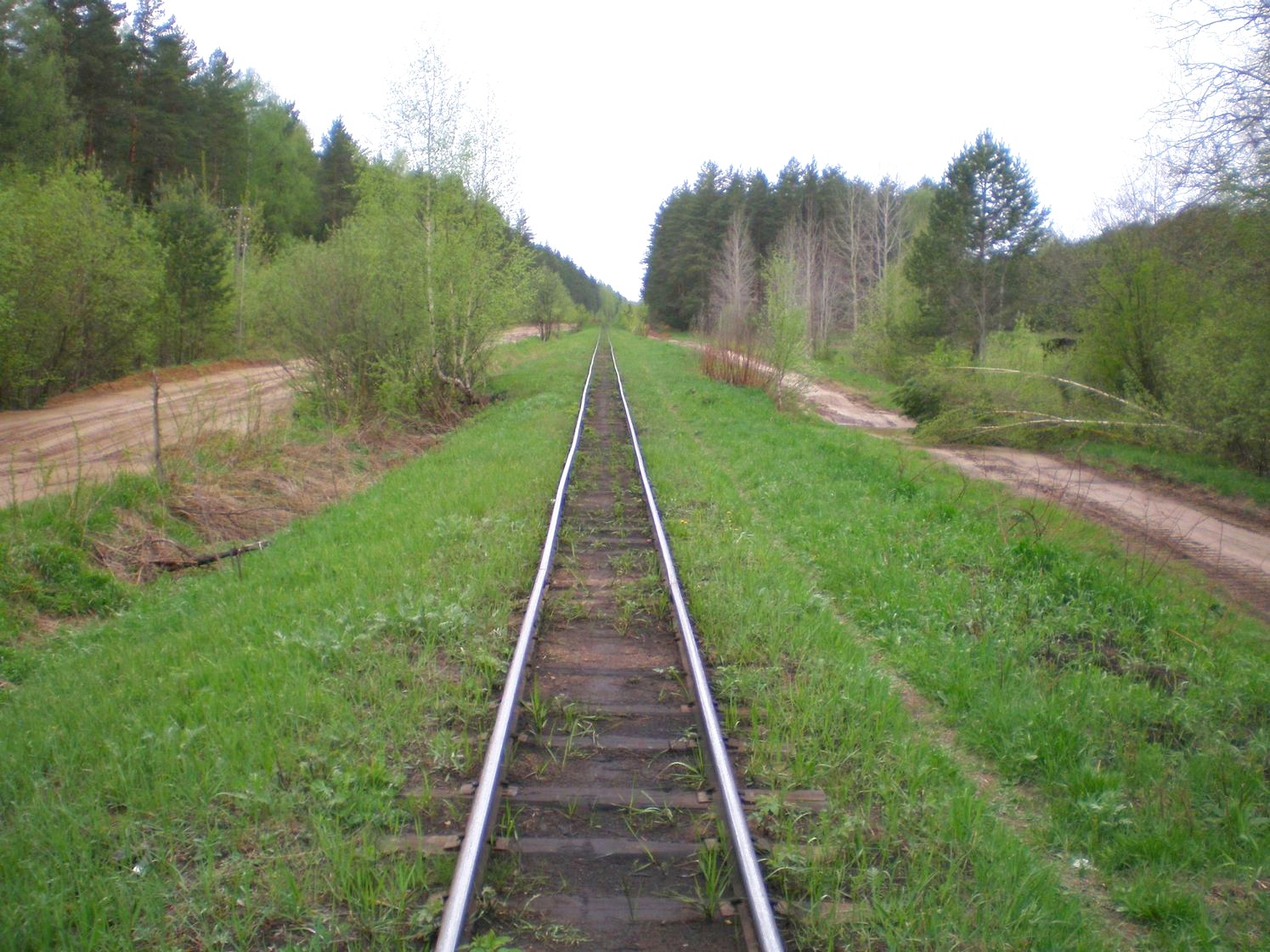 Узкоколейная железная дорога Каринского транспортного управления — фотографии, сделанные в 2008 году (часть 11)