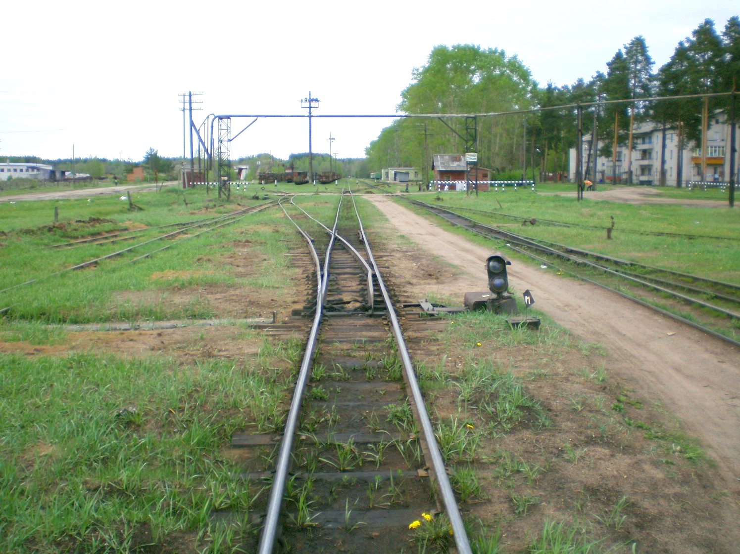 Узкоколейная железная дорога Каринского транспортного управления — фотографии, сделанные в 2008 году (часть 12)
