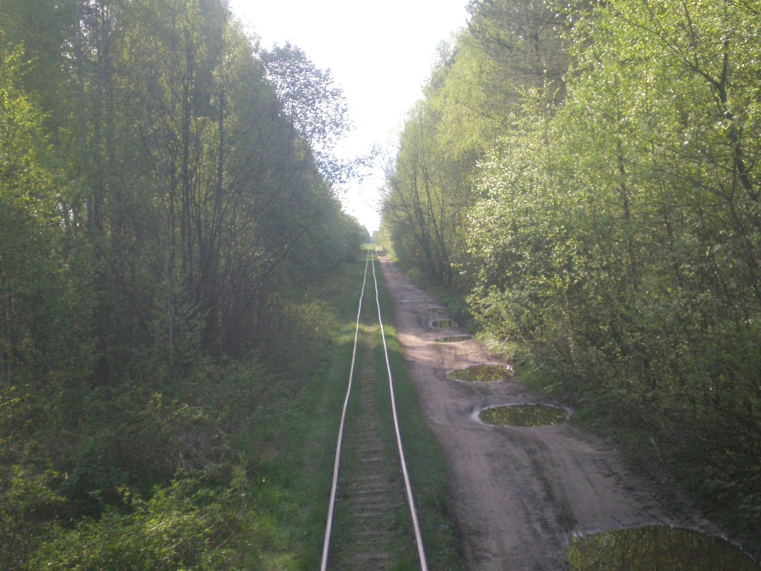 Узкоколейная железная дорога Каринского транспортного управления — фотографии, сделанные в 2008 году (часть 14)