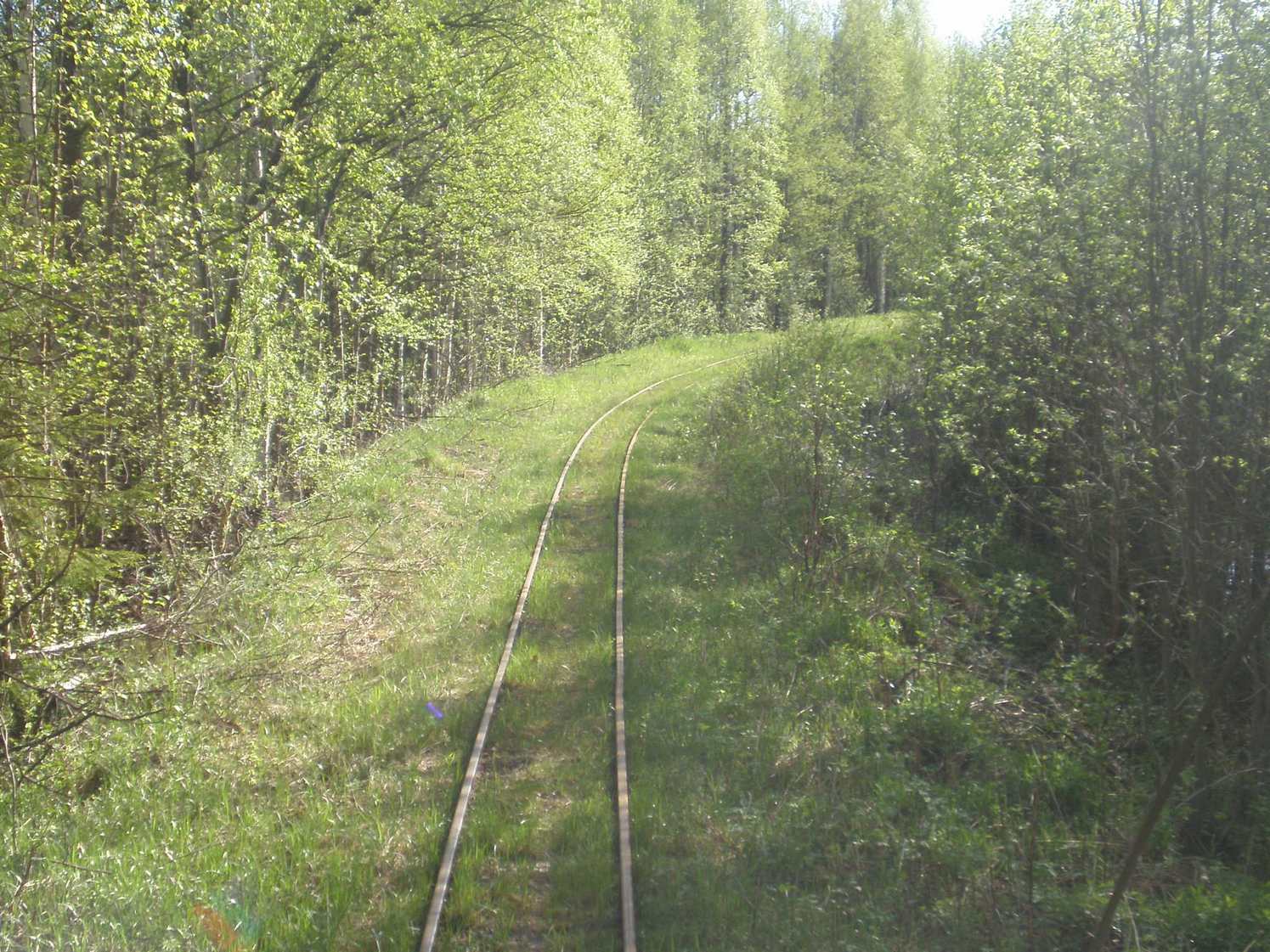 Узкоколейная железная дорога Каринского транспортного управления — фотографии, сделанные в 2008 году (часть 17)