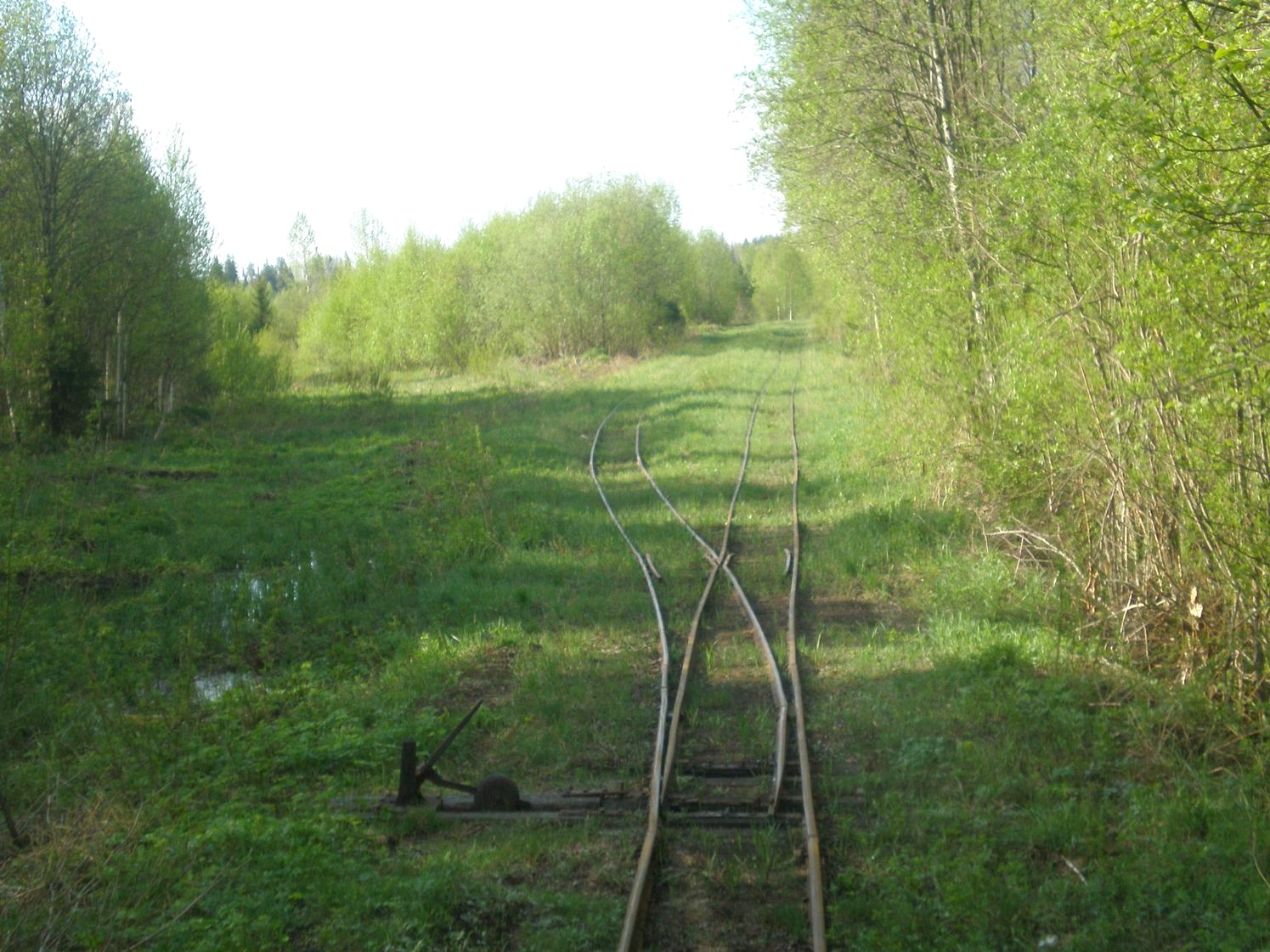 Узкоколейная железная дорога Каринского транспортного управления — фотографии, сделанные в 2008 году (часть 18)