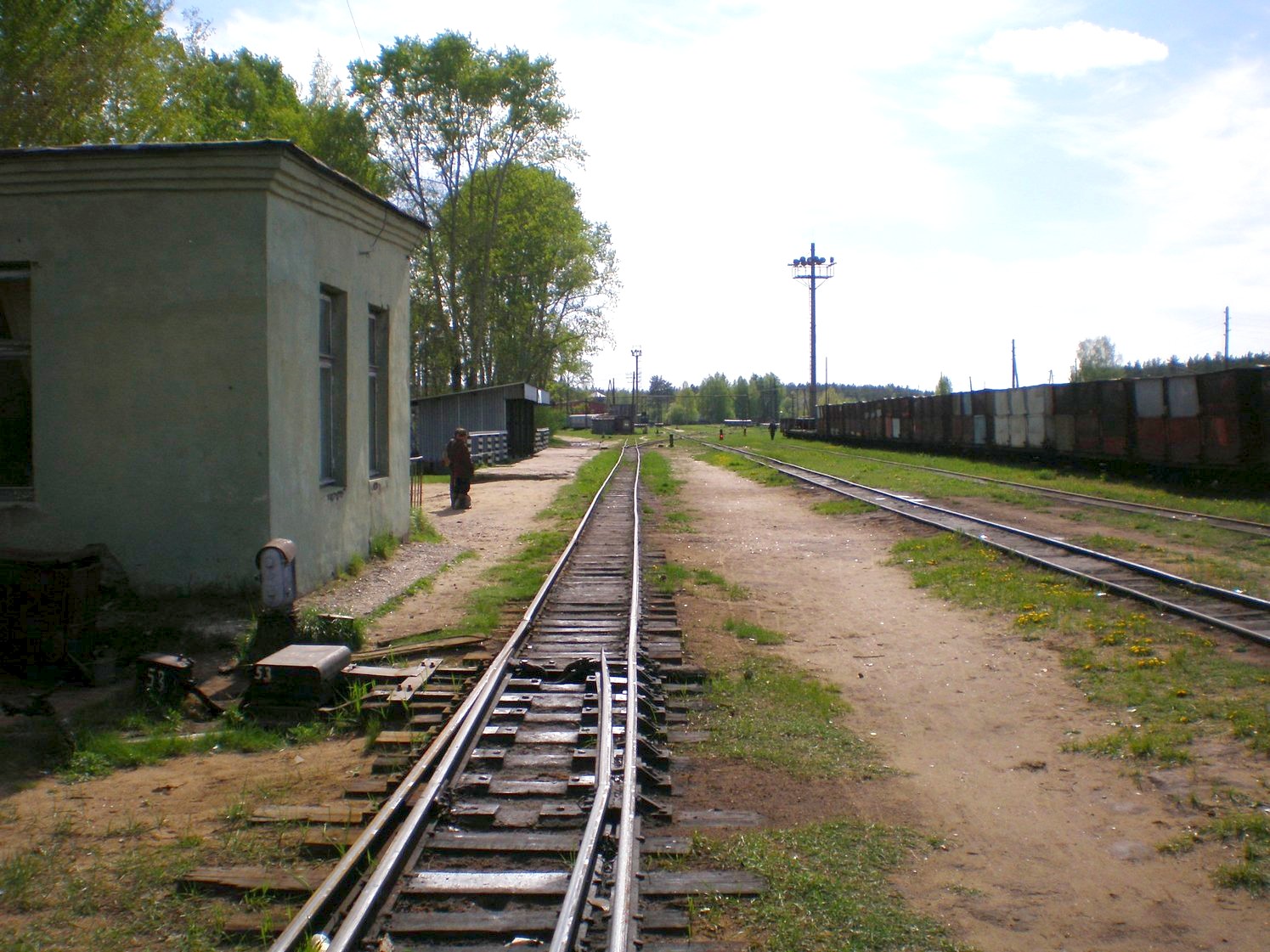 Узкоколейная железная дорога Каринского транспортного управления — фотографии, сделанные в 2008 году (часть 40)