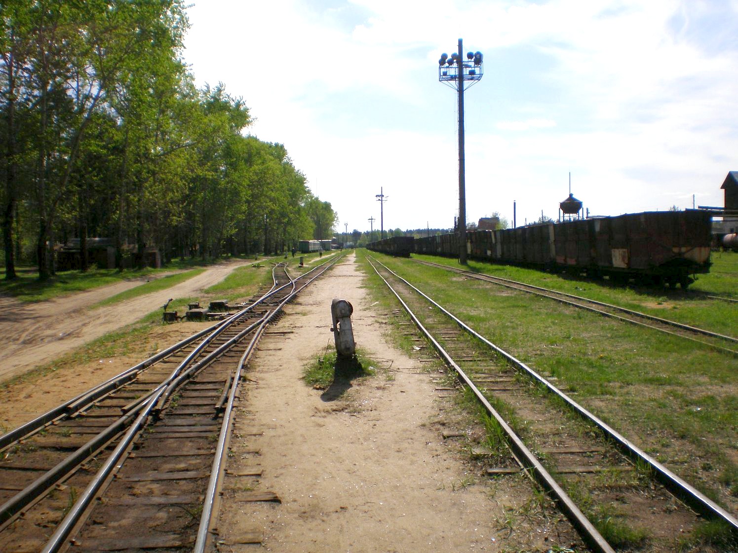 Узкоколейная железная дорога Каринского транспортного управления — фотографии, сделанные в 2008 году (часть 41)