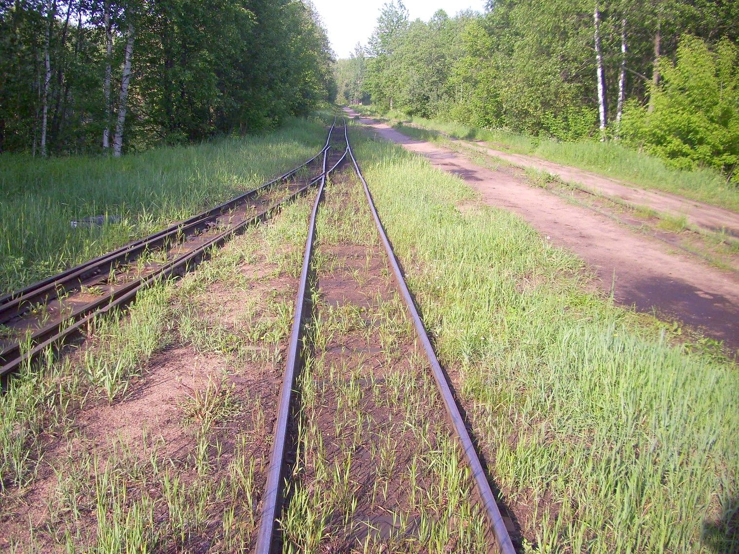 Узкоколейная железная дорога Каринского транспортного управления — фотографии, сделанные в 2012 году (часть 6)