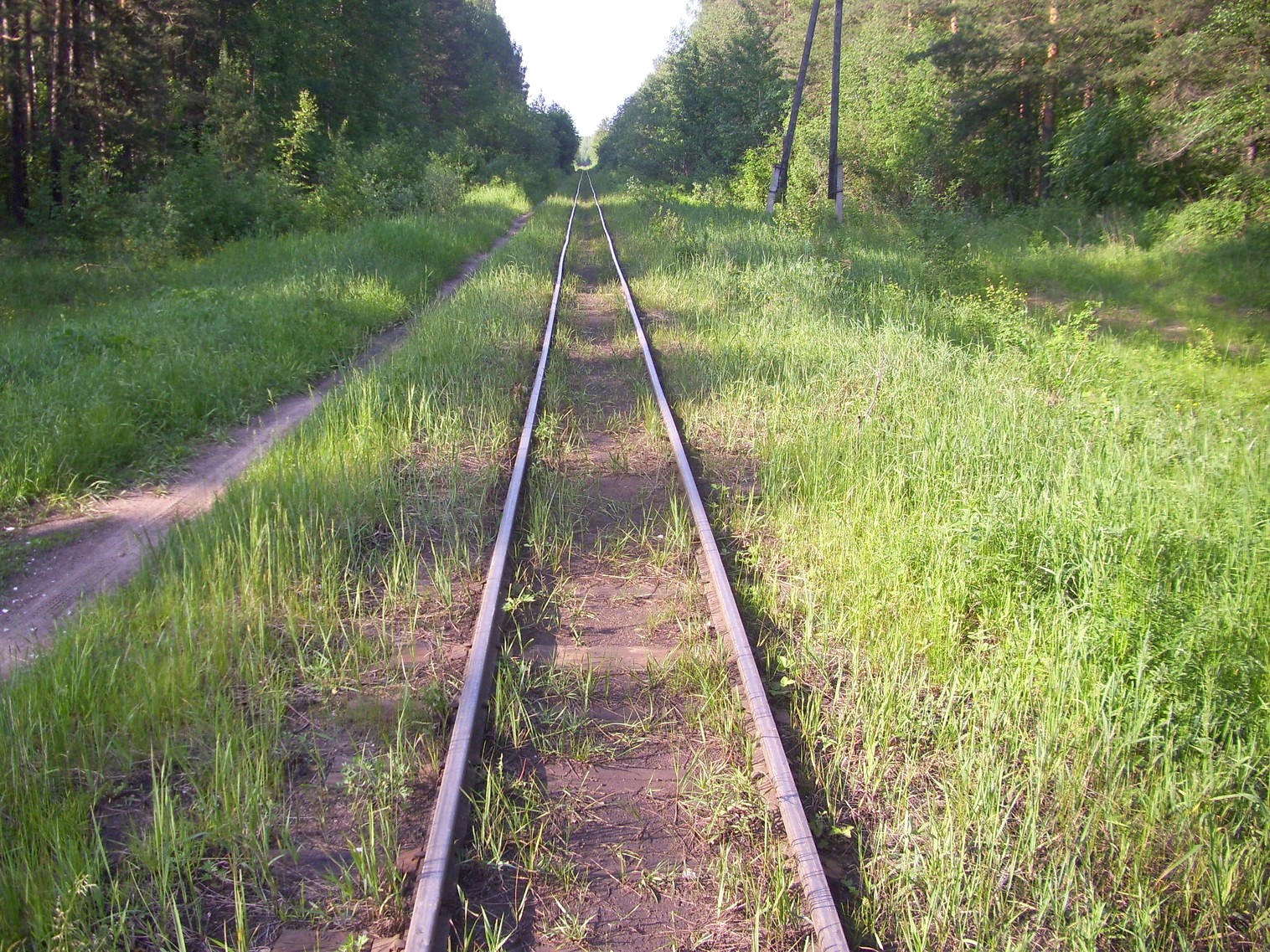 Узкоколейная железная дорога Каринского транспортного управления — фотографии, сделанные в 2012 году (часть 7)