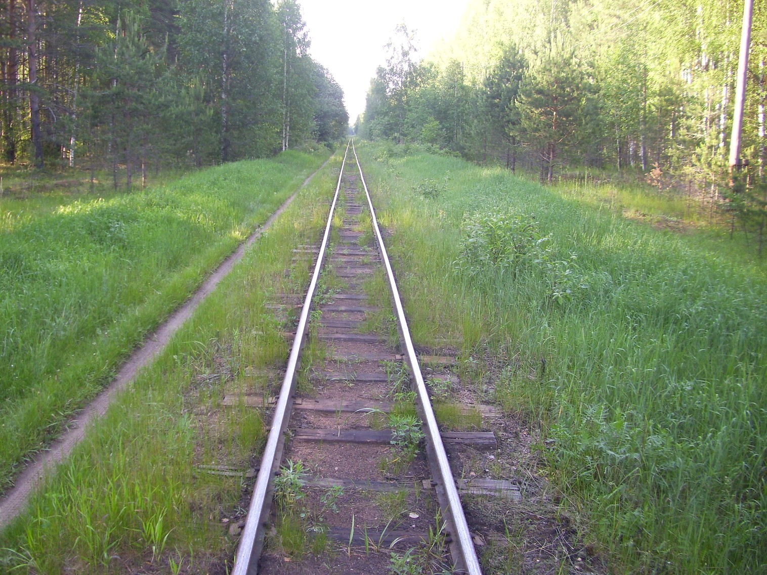 Узкоколейная железная дорога Каринского транспортного управления — фотографии, сделанные в 2012 году (часть 8)