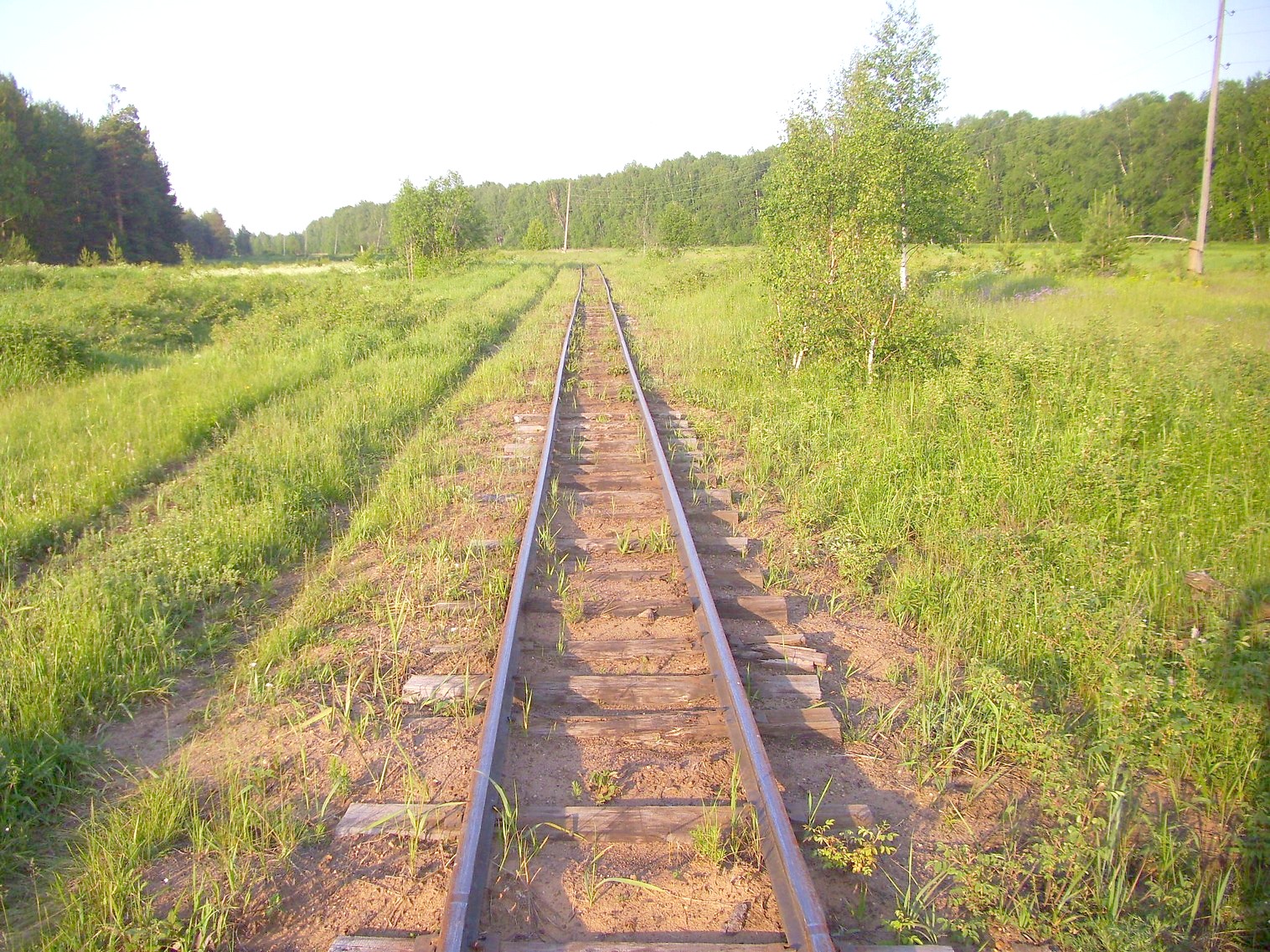 Узкоколейная железная дорога Каринского транспортного управления — фотографии, сделанные в 2012 году (часть 11)