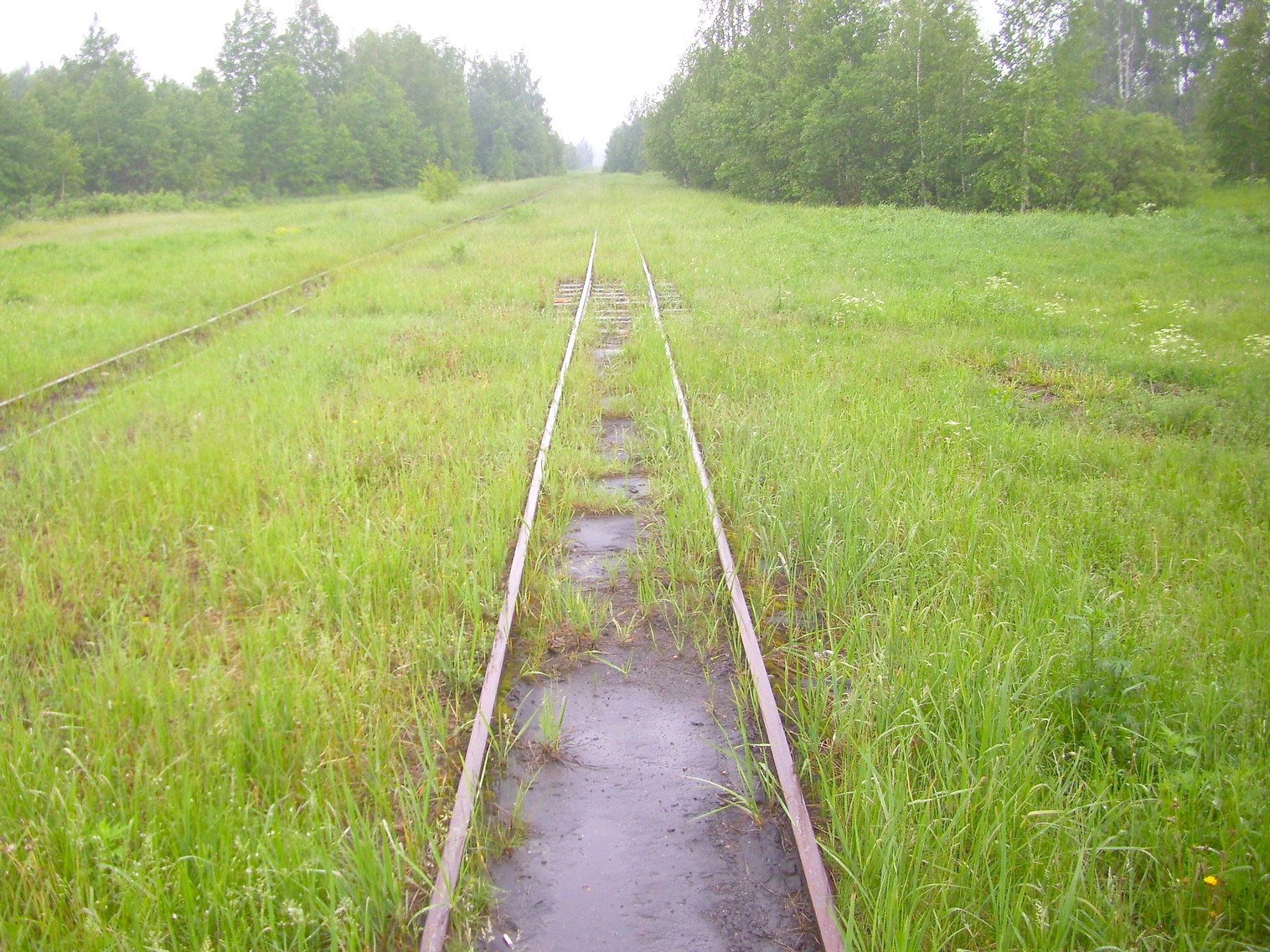 Узкоколейная железная дорога Каринского транспортного управления — фотографии, сделанные в 2012 году (часть 12)