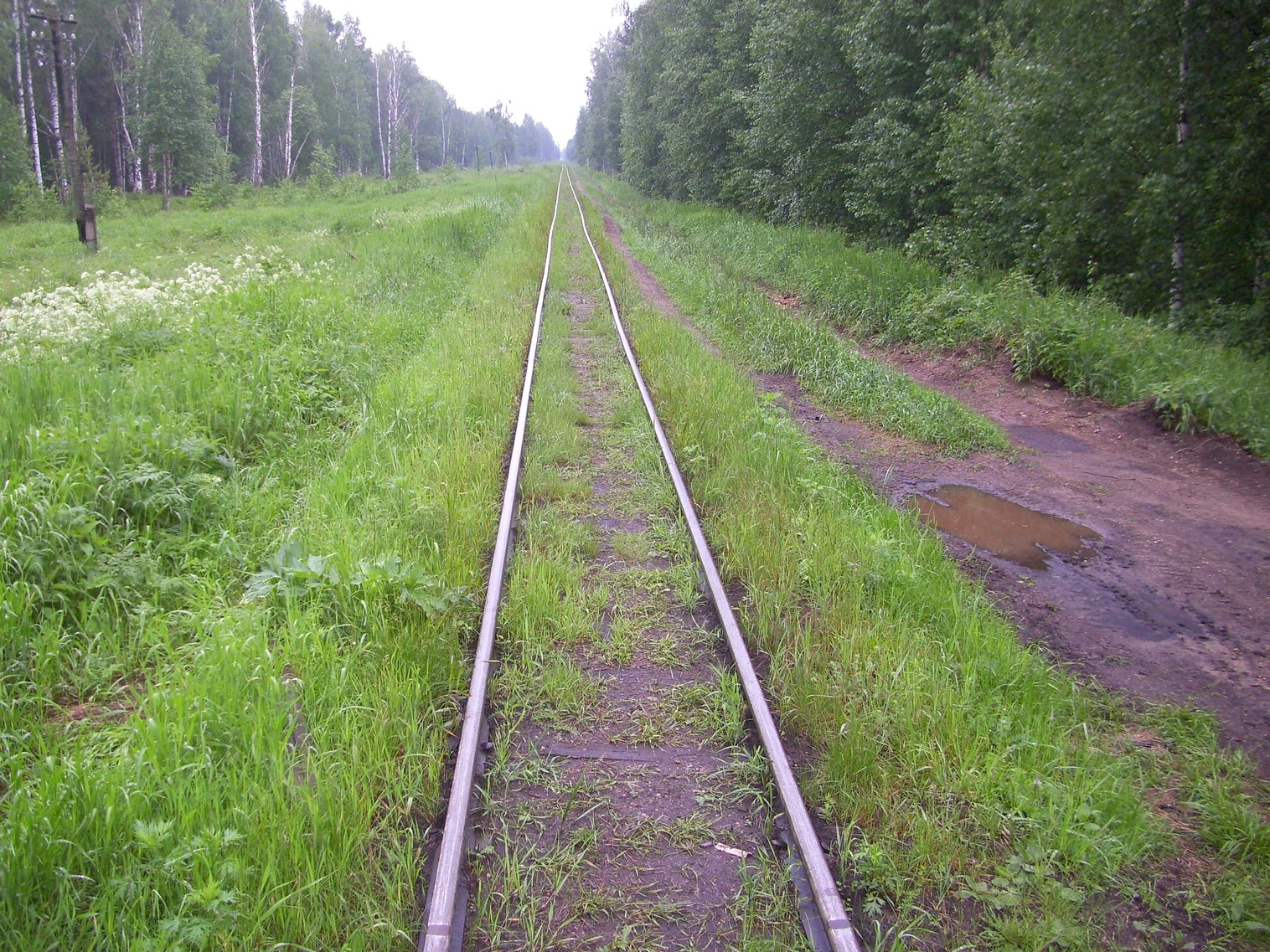 Узкоколейная железная дорога Каринского транспортного управления — фотографии, сделанные в 2012 году (часть 13)