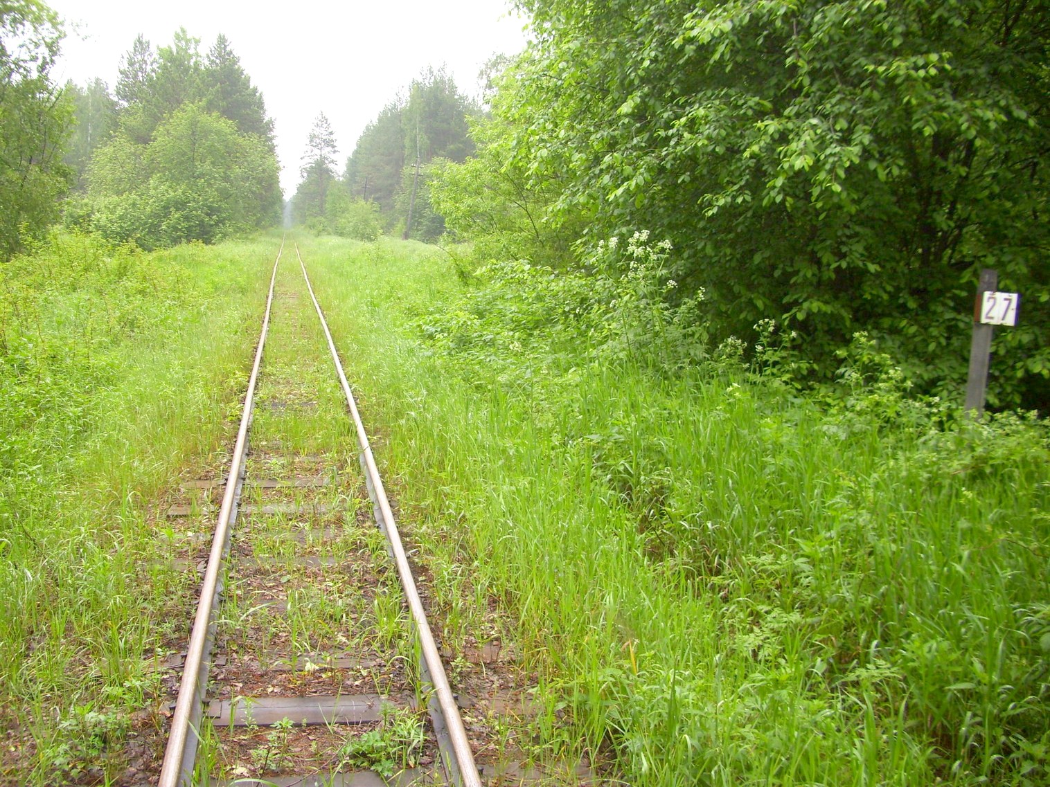 Узкоколейная железная дорога Каринского транспортного управления — фотографии, сделанные в 2012 году (часть 14)