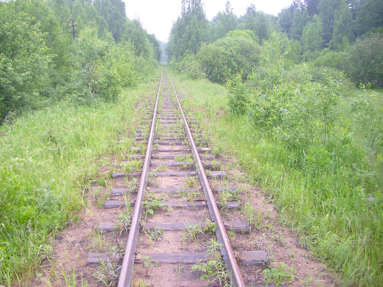 Узкоколейная железная дорога Каринского транспортного управления — фотографии, сделанные в 2012 году (часть 15)