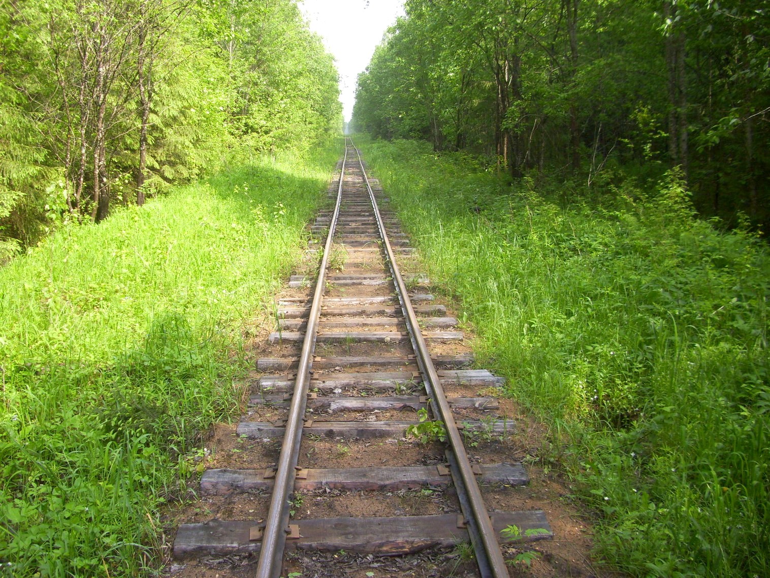 Узкоколейная железная дорога Каринского транспортного управления — фотографии, сделанные в 2012 году (часть 16)
