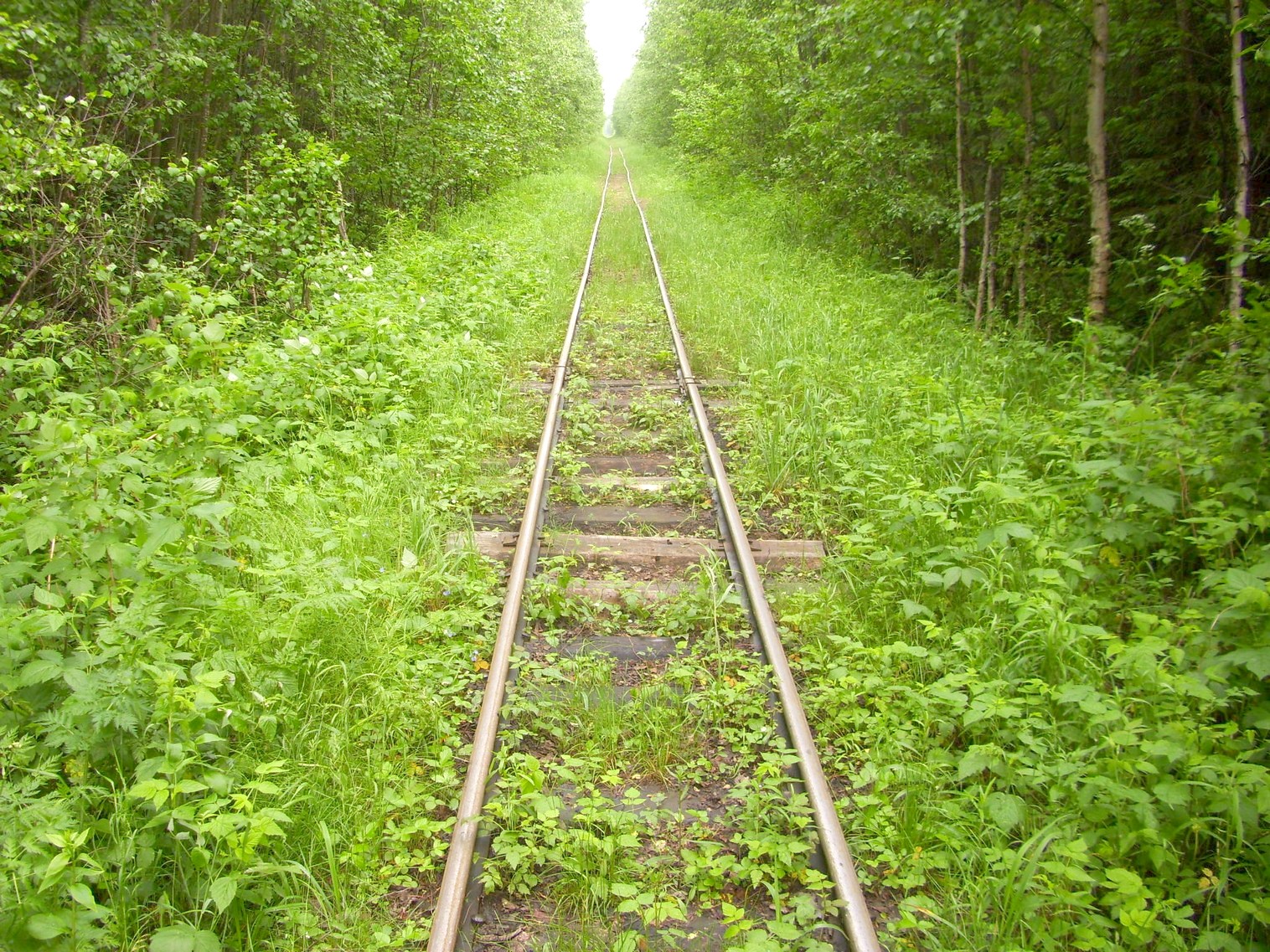 Узкоколейная железная дорога Каринского транспортного управления — фотографии, сделанные в 2012 году (часть 17)