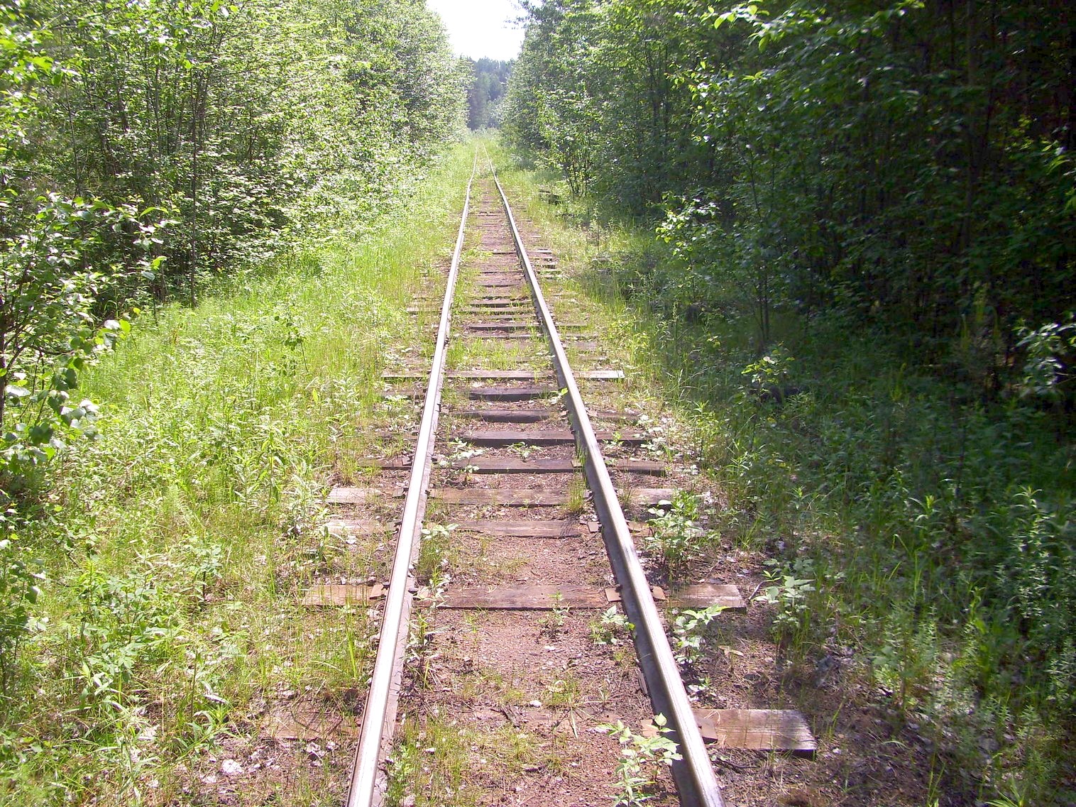 Узкоколейная железная дорога Каринского транспортного управления — фотографии, сделанные в 2012 году (часть 18)