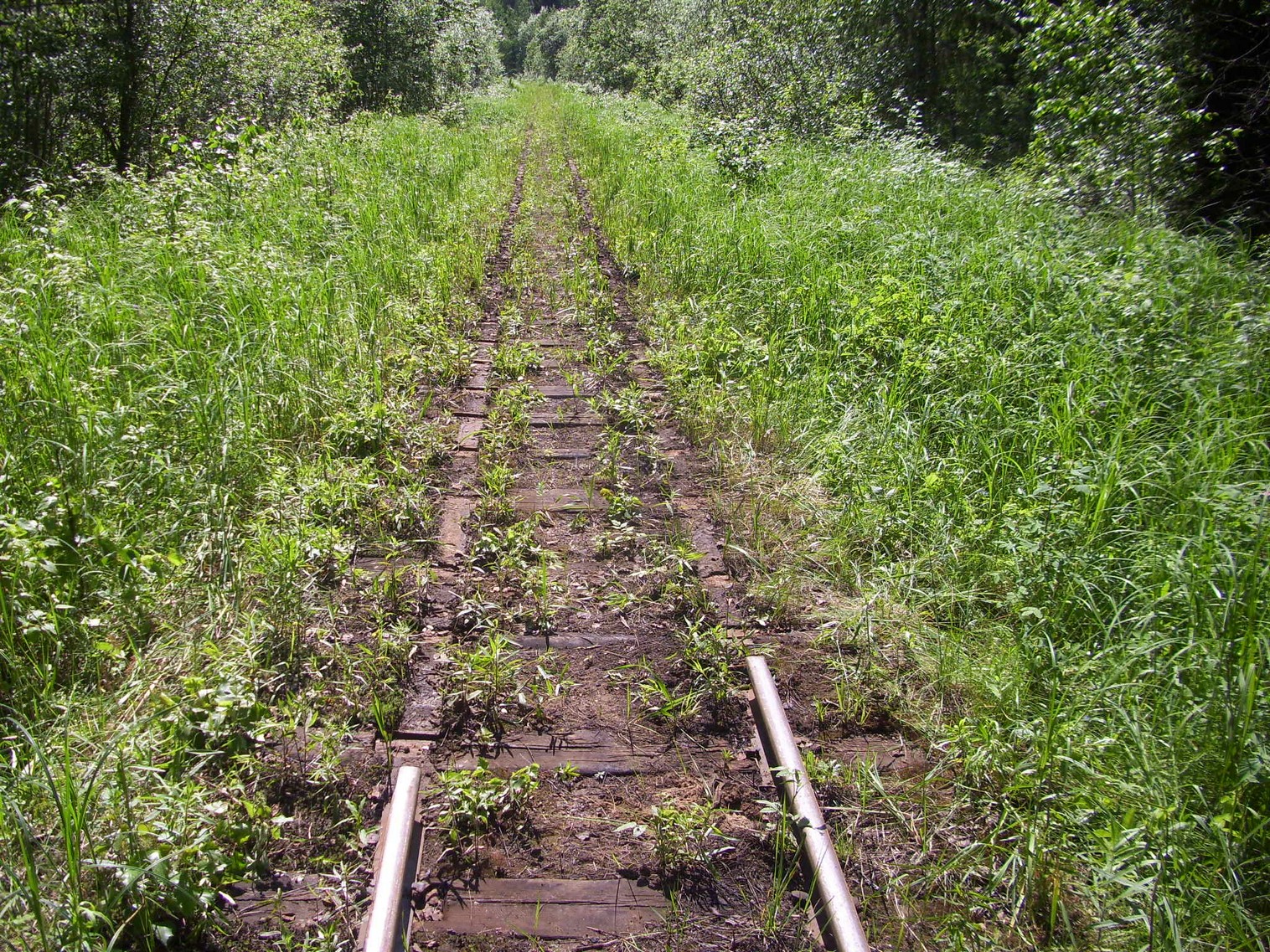 Узкоколейная железная дорога Каринского транспортного управления — фотографии, сделанные в 2012 году (часть 21)