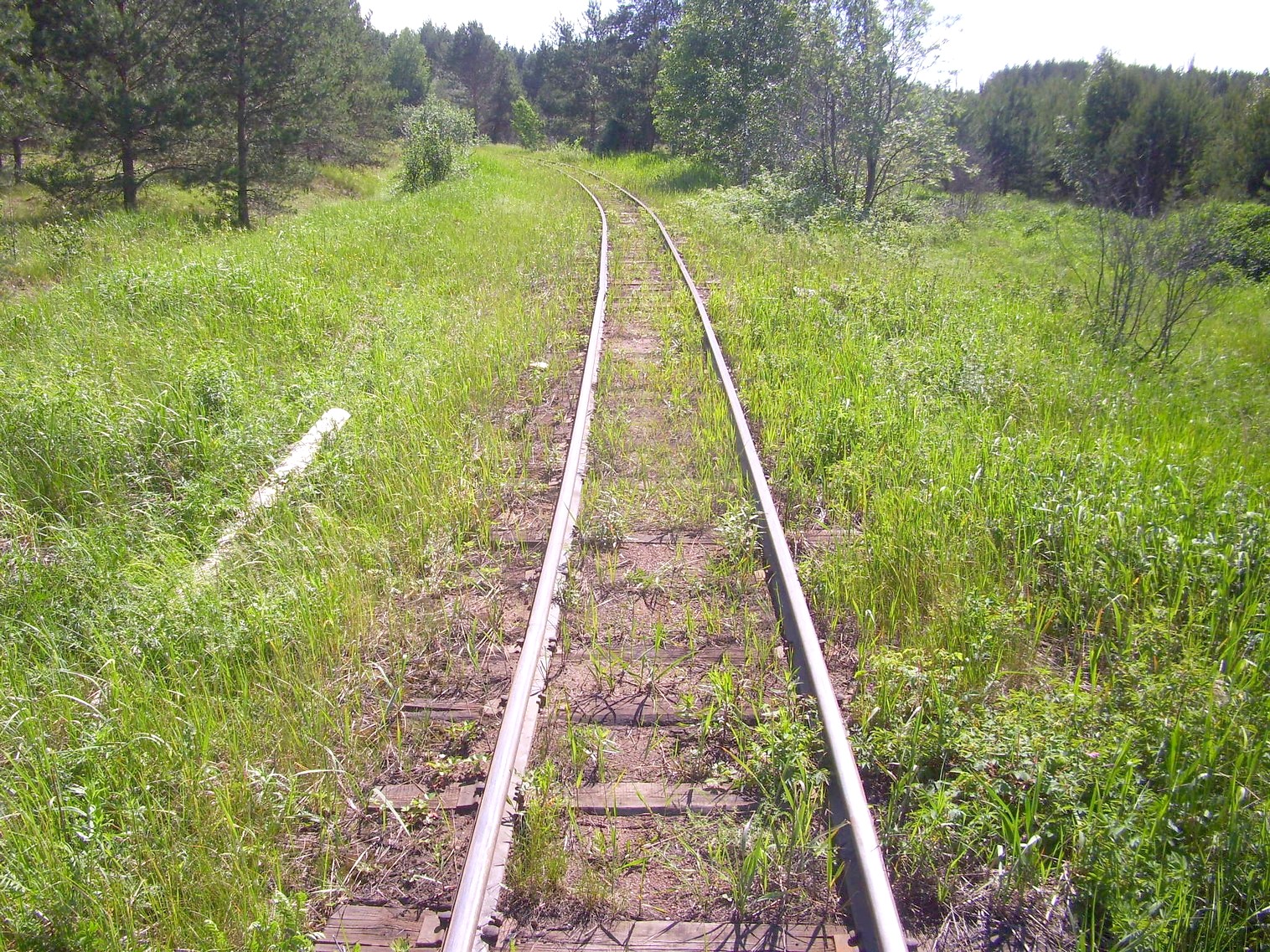 Узкоколейная железная дорога Каринского транспортного управления — фотографии, сделанные в 2012 году (часть 22)