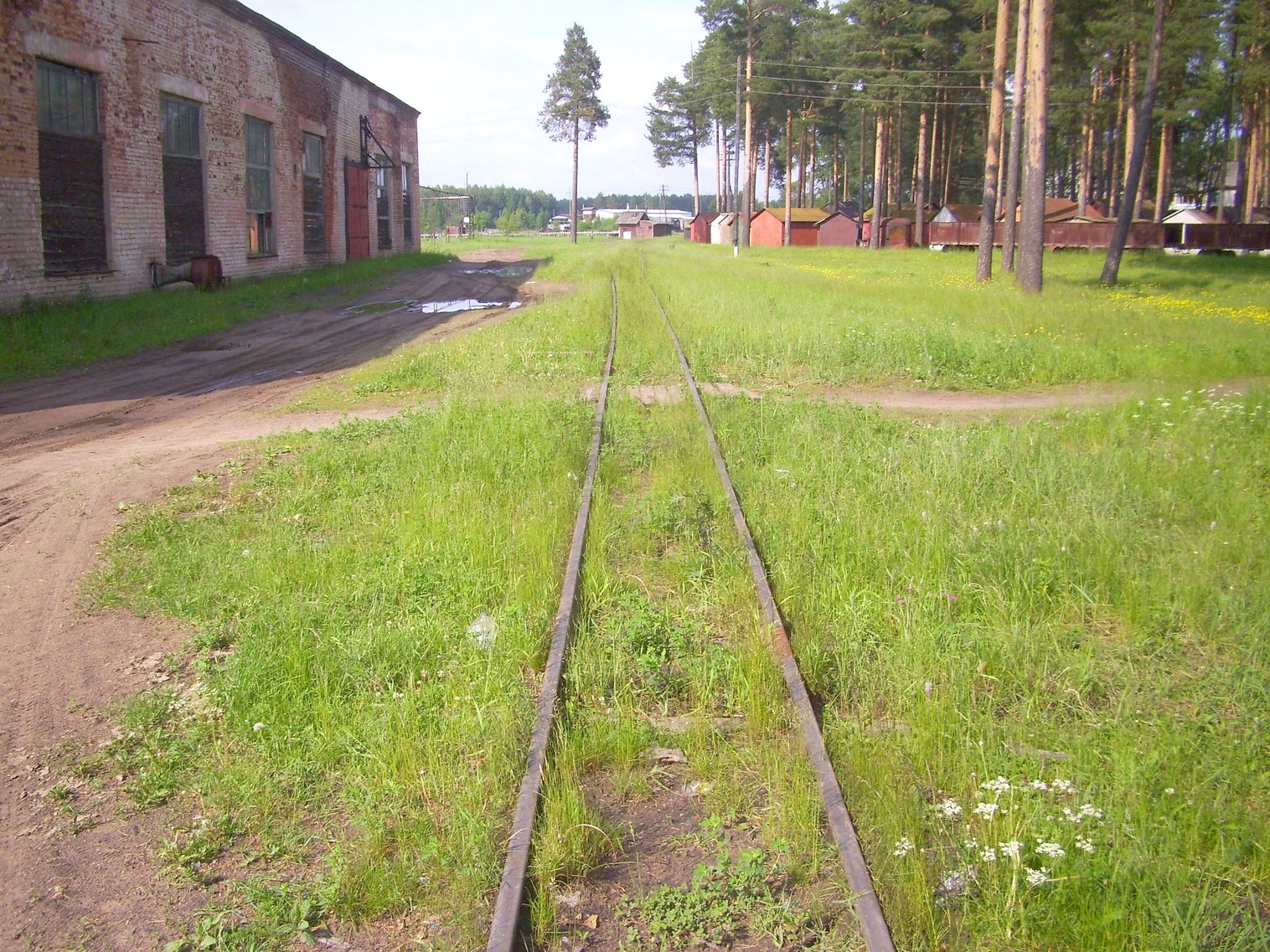 Узкоколейная железная дорога Каринского транспортного управления — фотографии, сделанные в 2012 году (часть 4)