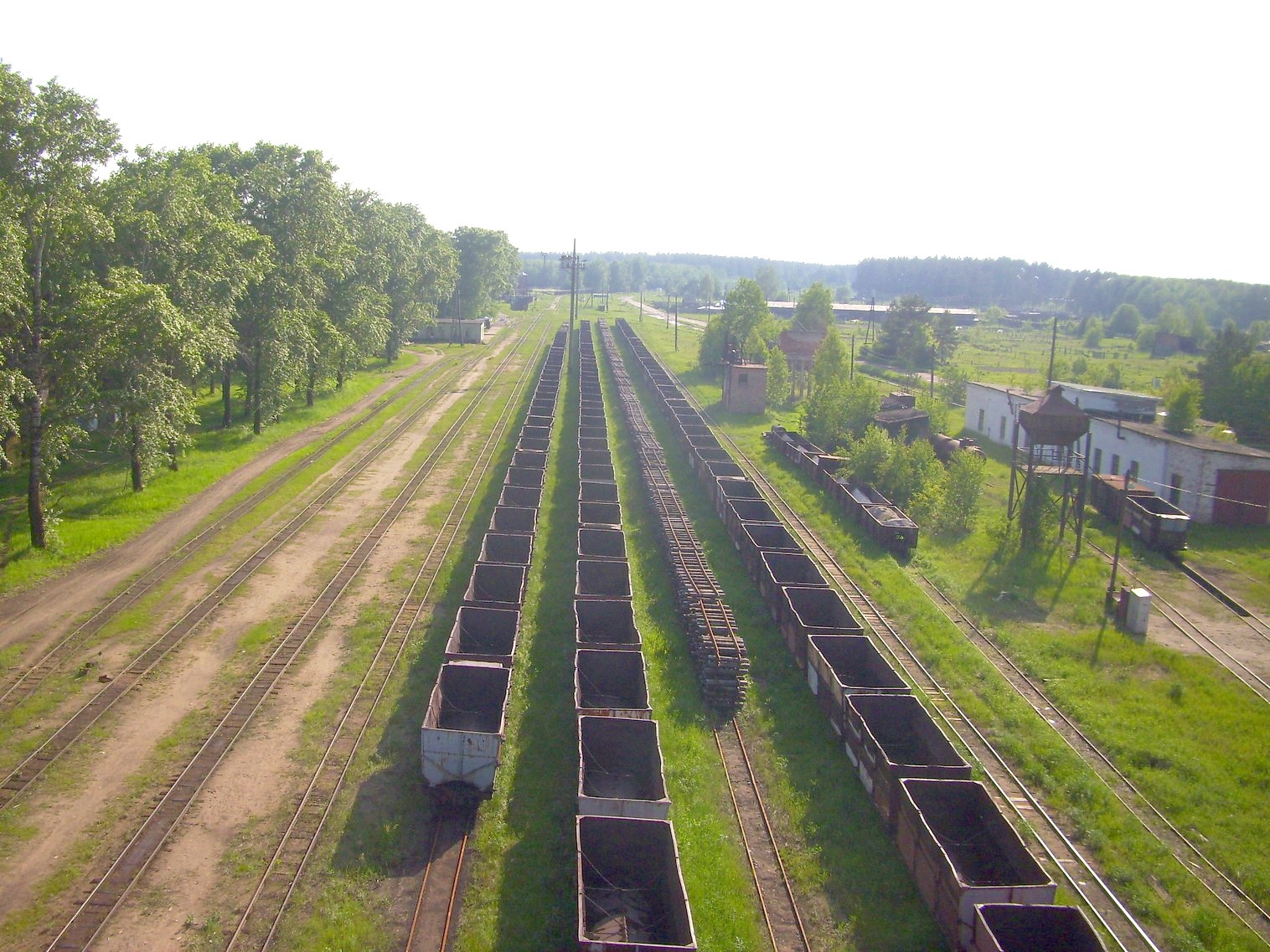 Узкоколейная железная дорога Каринского транспортного управления — фотографии, сделанные в 2012 году (часть 5)