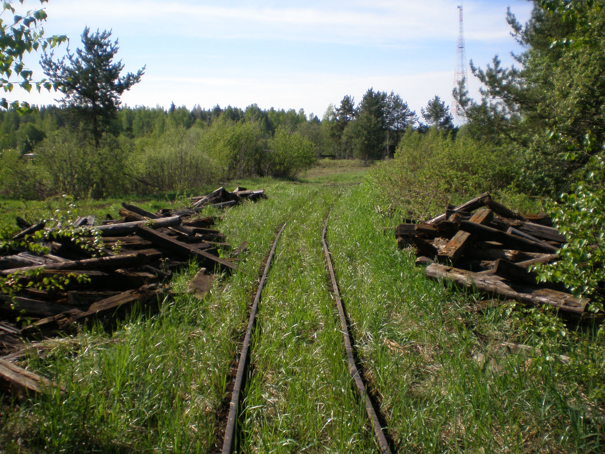 Узкоколейная железная дорога  Пищальского торфопредприятия —  фотографии, сделанные в 2008 году (часть 10)