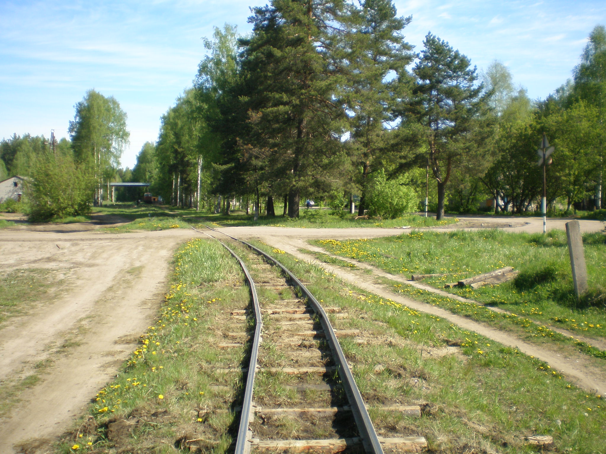 Узкоколейная железная дорога  Пищальского торфопредприятия —  фотографии, сделанные в 2008 году (часть 11)