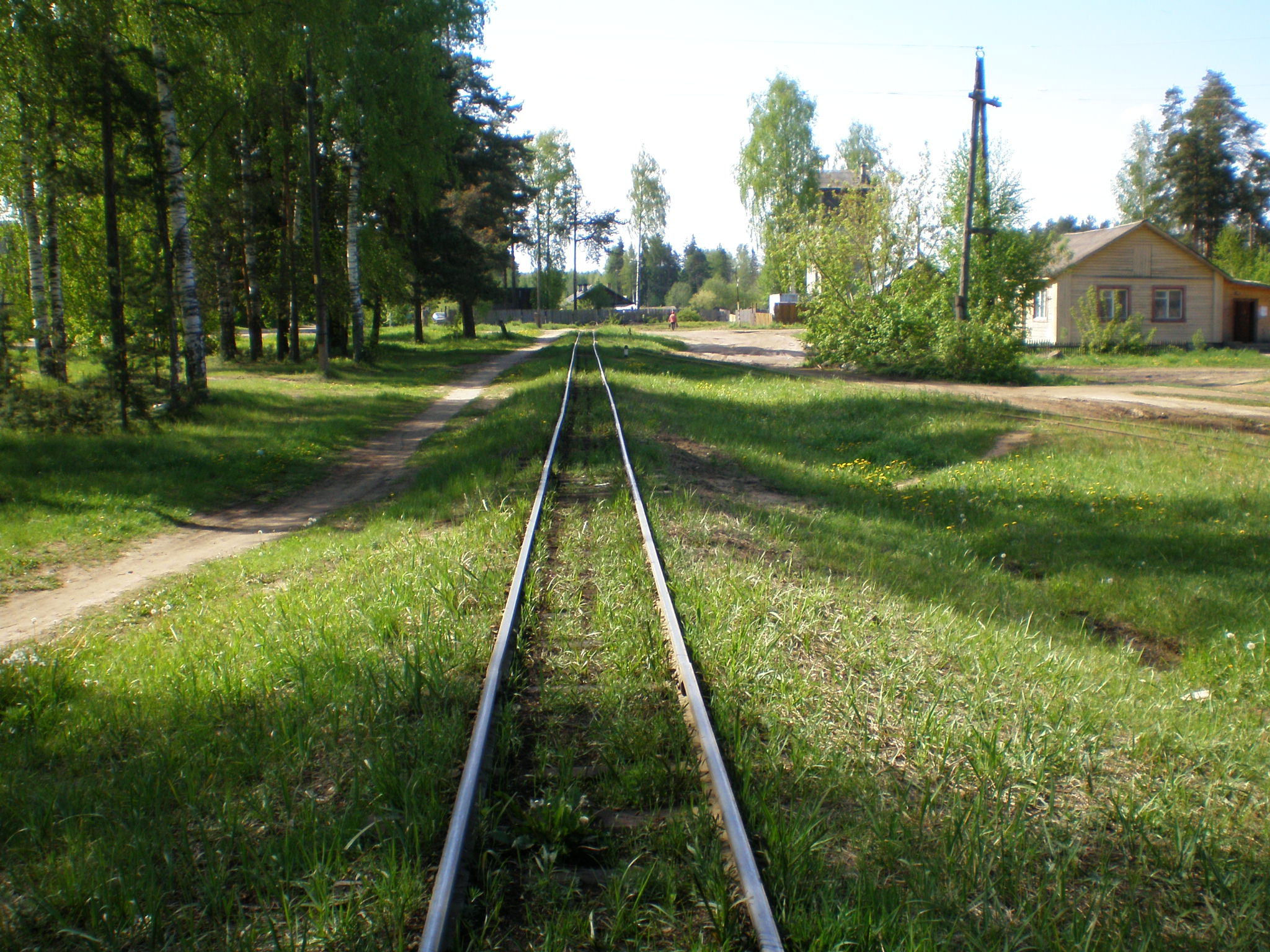 Узкоколейная железная дорога  Пищальского торфопредприятия —  фотографии, сделанные в 2008 году (часть 13)