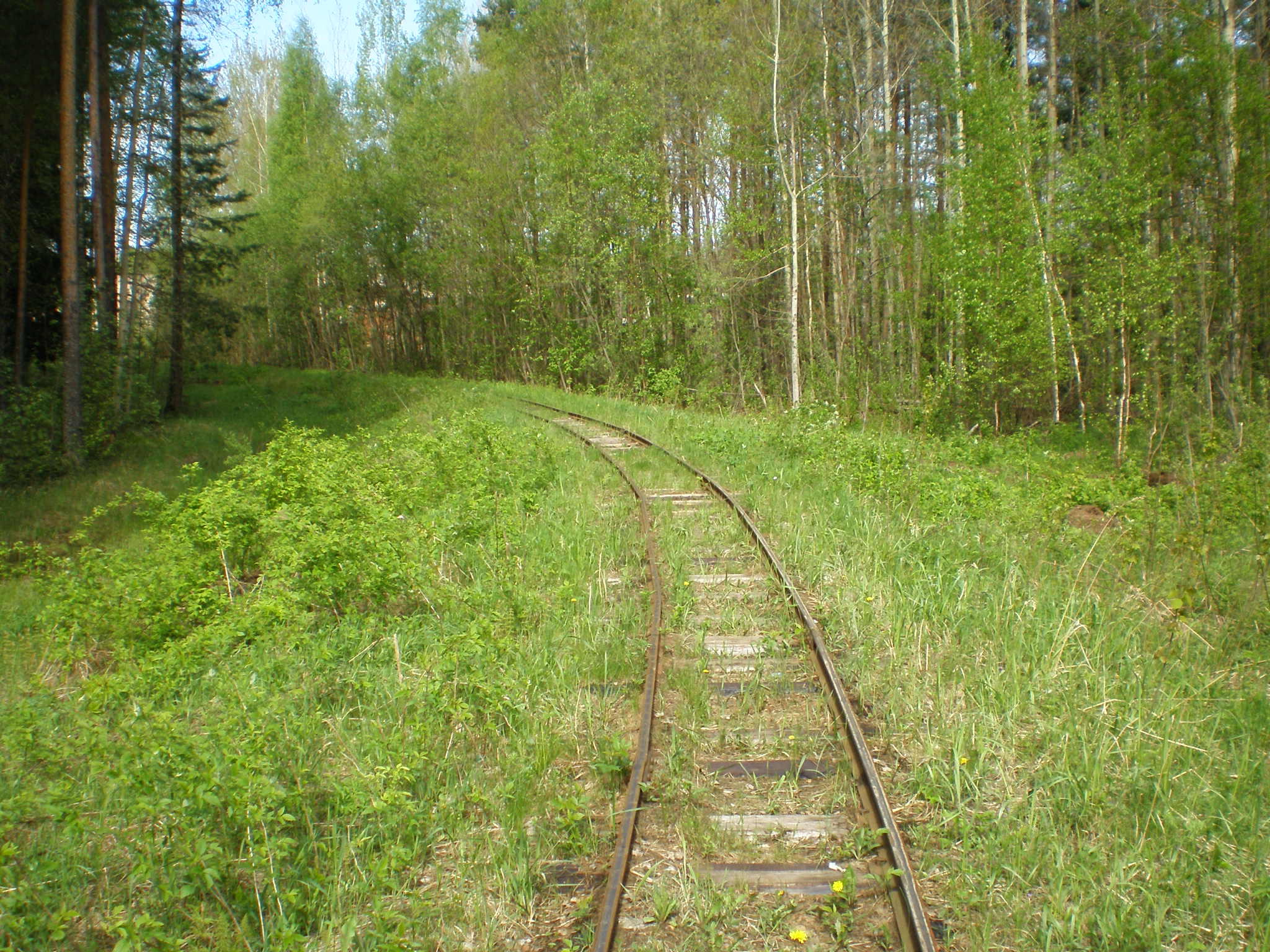Узкоколейная железная дорога  Пищальского торфопредприятия —  фотографии, сделанные в 2008 году (часть 16)