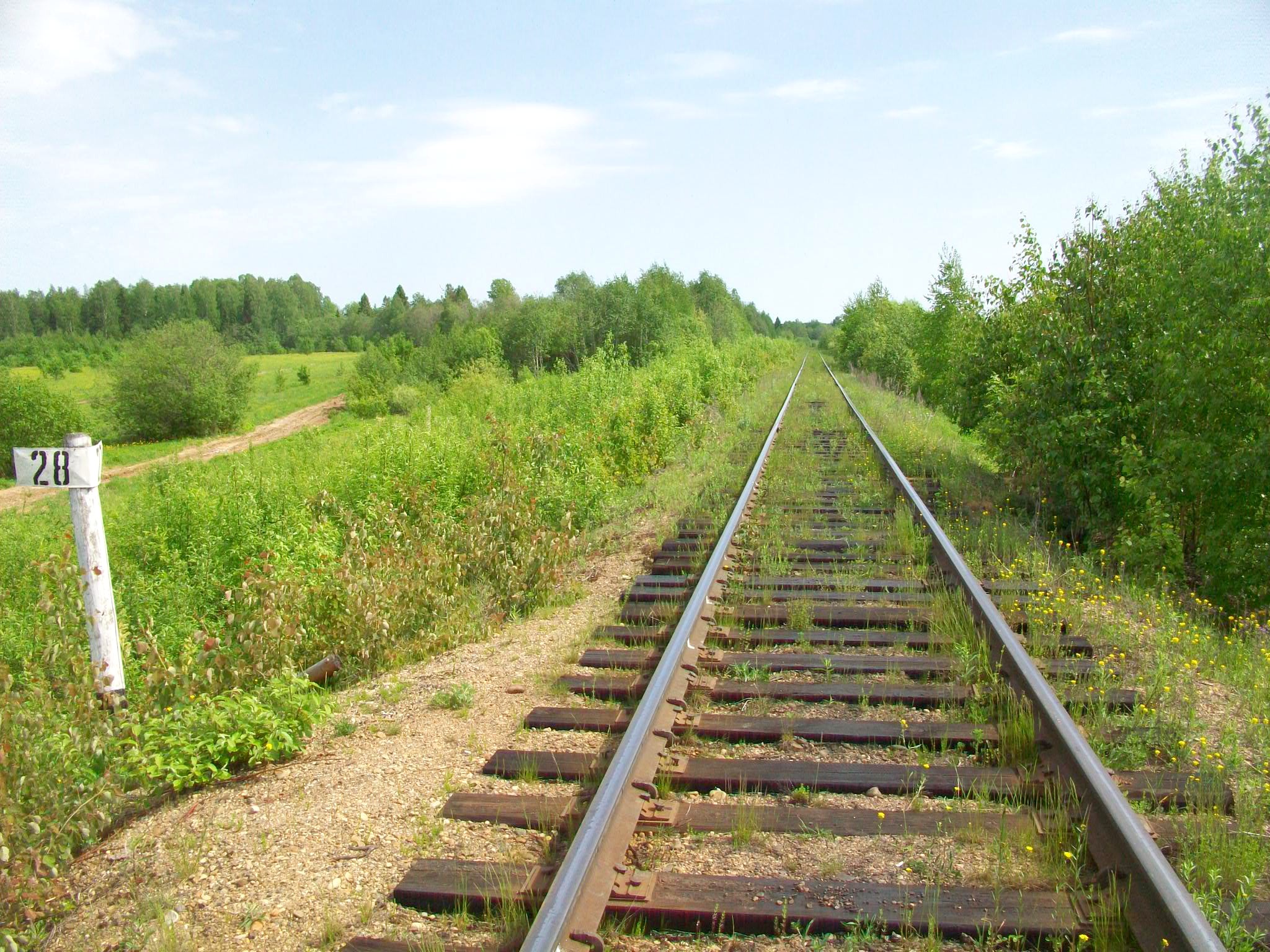 Железнодорожная линия Панасюк  — Подосиновец — фотографии, сделанные в 2015 году (часть 3)