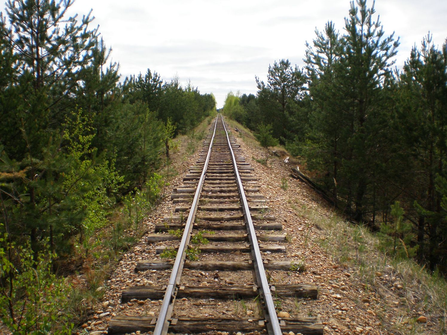 Узкоколейная железная дорога Дымного торфопредприятия   —  фотографии, сделанные в 2008 году (часть 18)