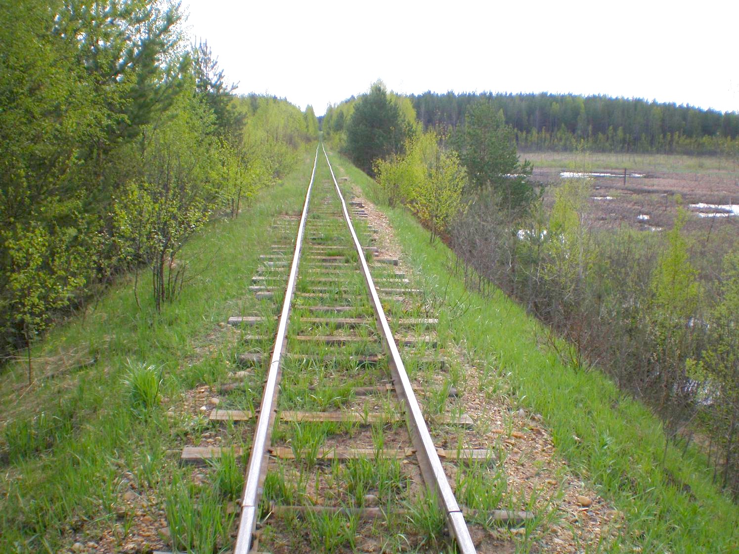 Узкоколейная железная дорога Дымного торфопредприятия   —  фотографии, сделанные в 2008 году (часть 19)