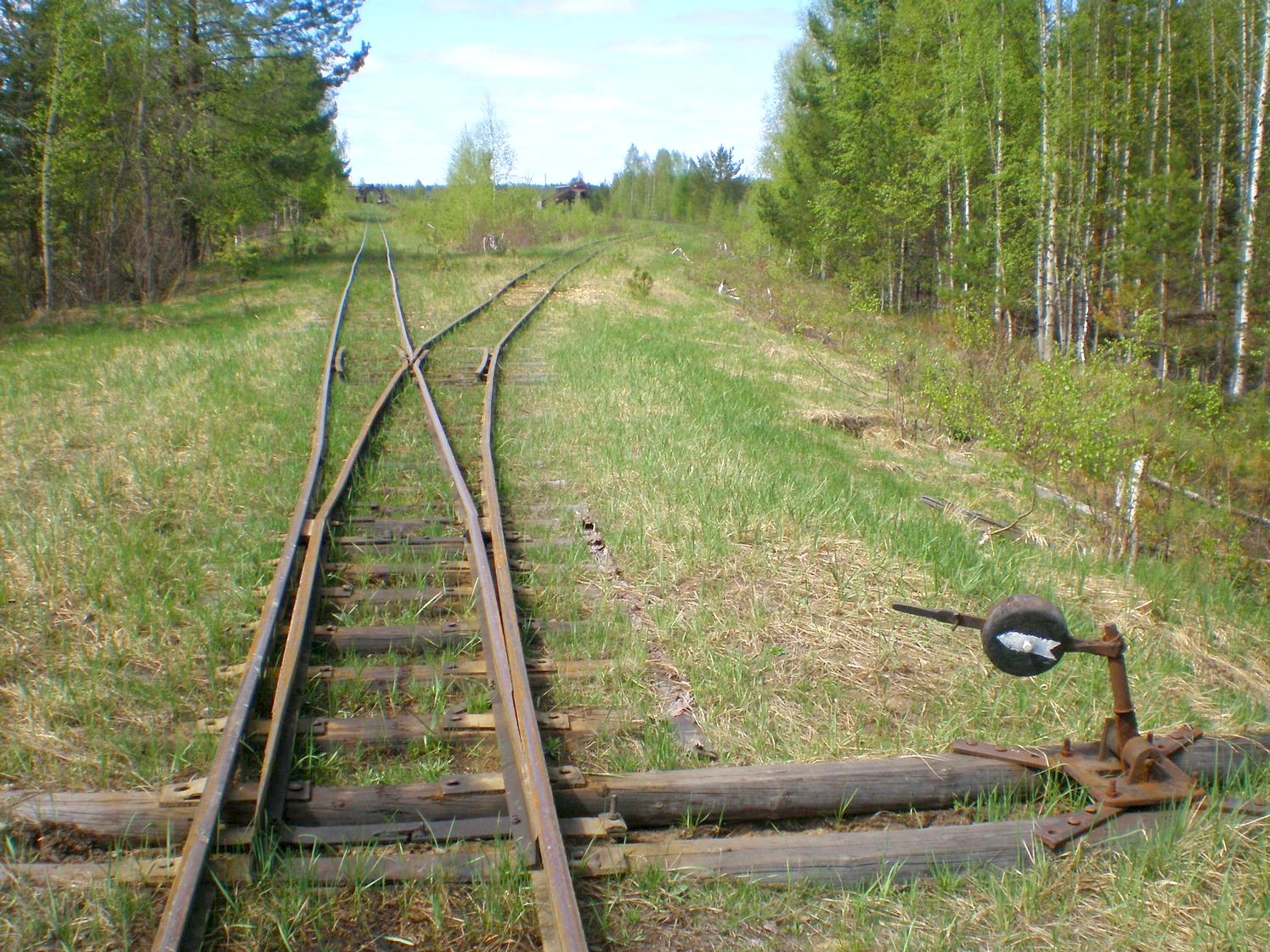 Узкоколейная железная дорога Дымного торфопредприятия   —  фотографии, сделанные в 2008 году (часть 21)