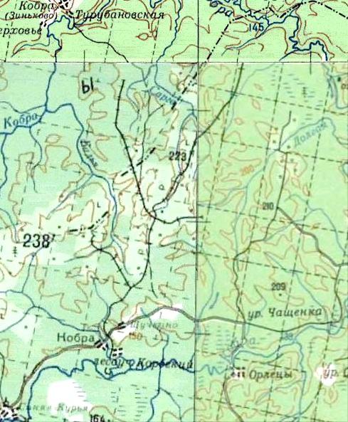 Кобрская узкоколейная железная дорога — схемы и топографические карты