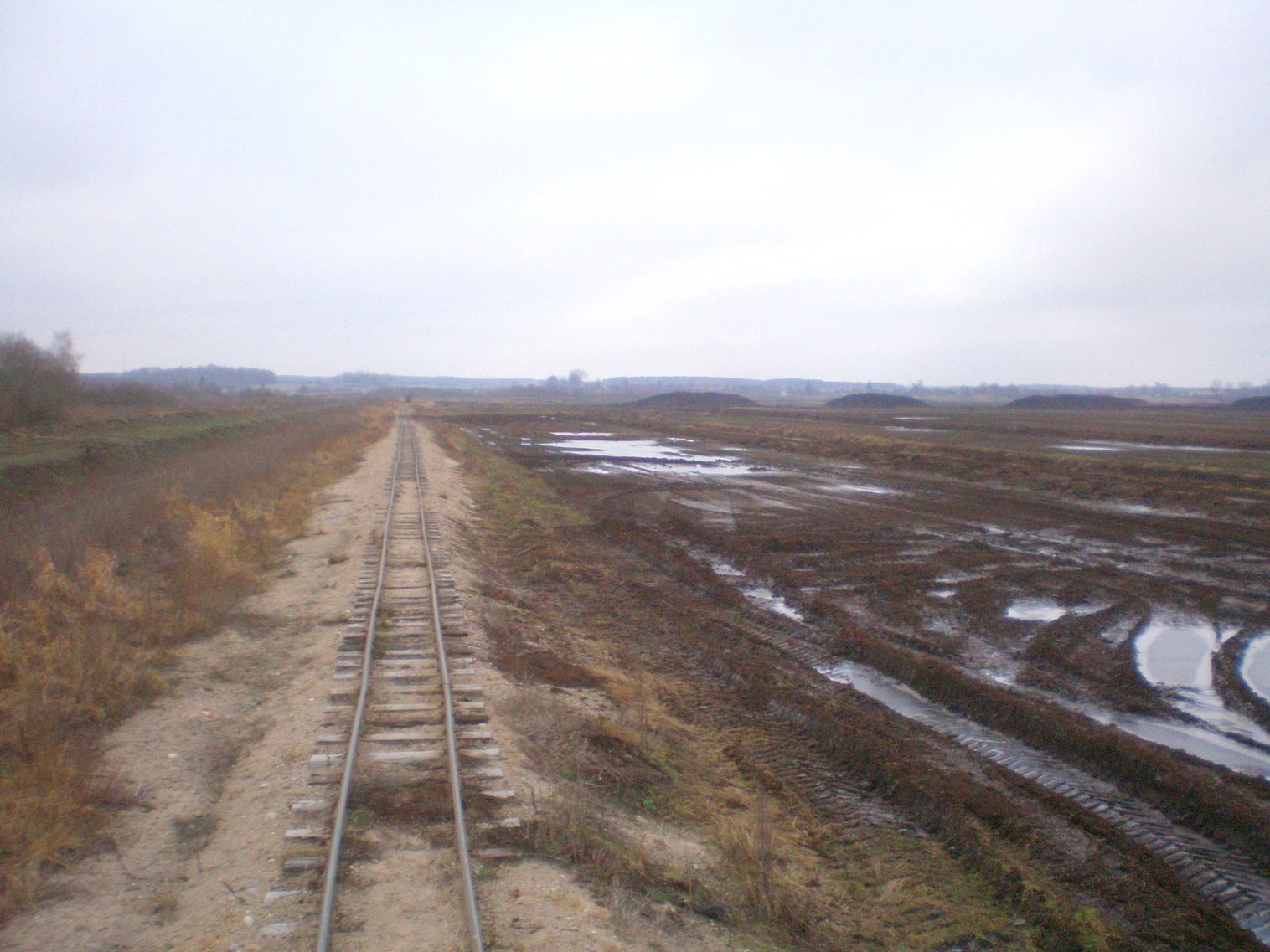 Узкоколейная железная дорога   торфопредприятия   «Колпеница» 
  —  фотографии, сделанные в 2008 году (часть 8)