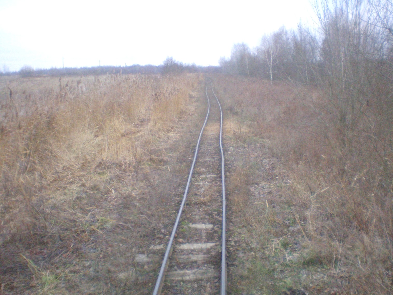 Узкоколейная железная дорога   торфопредприятия   «Колпеница» 
  —  фотографии, сделанные в 2008 году (часть 4)