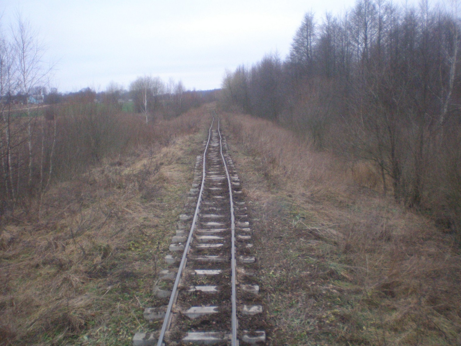 Узкоколейная железная дорога   торфопредприятия   «Колпеница» 
  —  фотографии, сделанные в 2008 году (часть 5)
