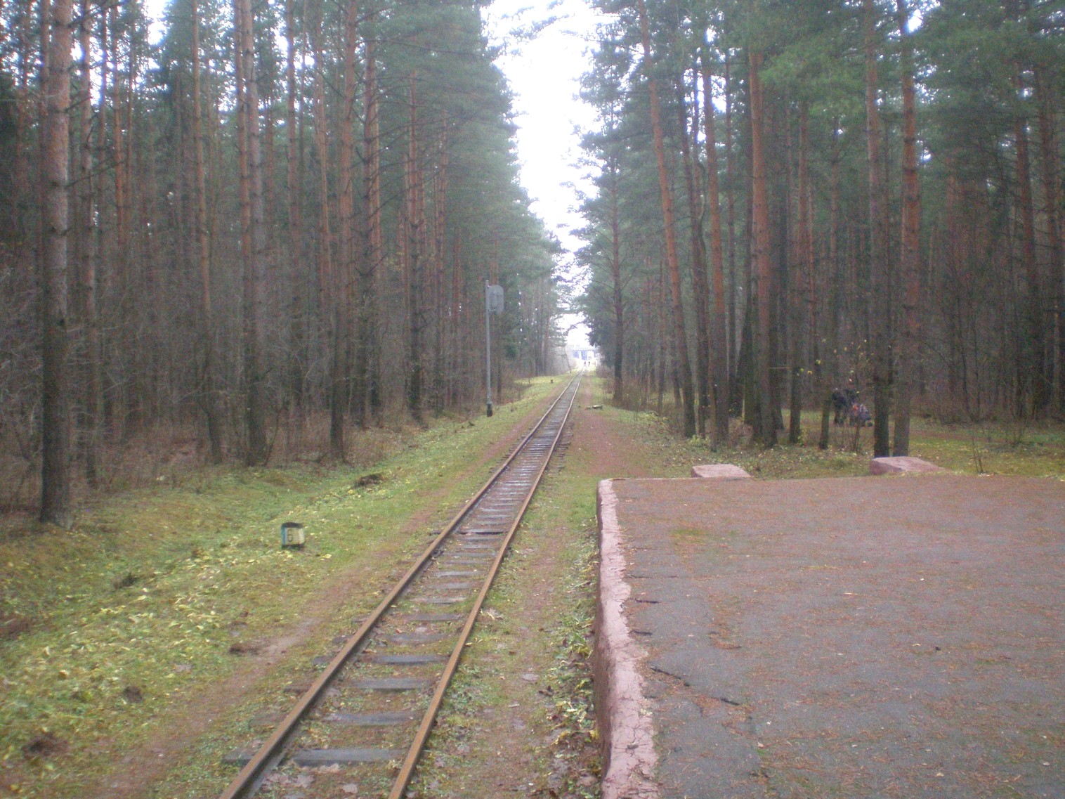 Малая Белорусская (Минская) детская железная дорога  —  фотографии, сделанные в 2008 году (часть 6)