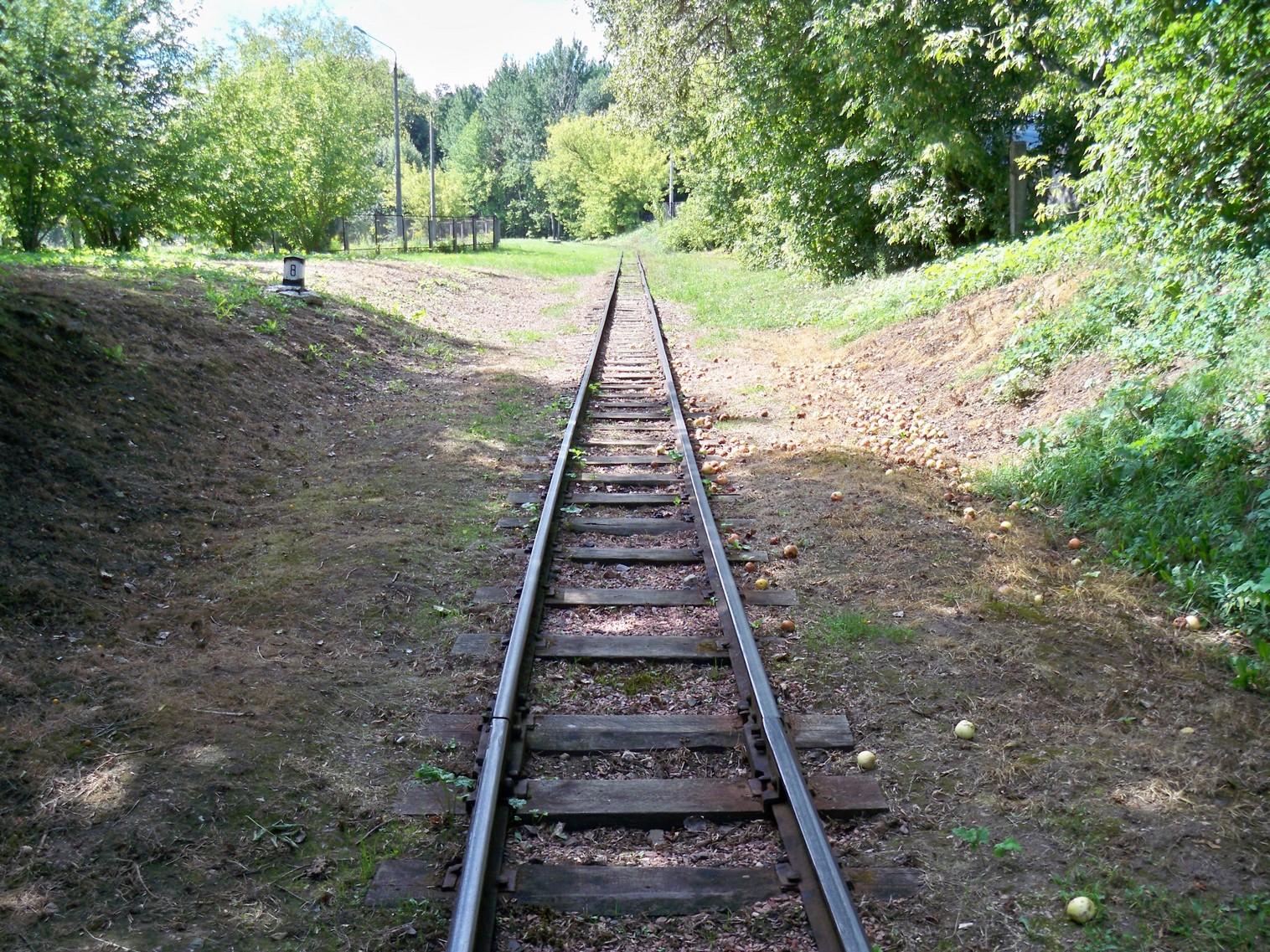 Малая Белорусская (Минская) детская железная дорога  —  фотографии, сделанные в 2013 году (часть 5)