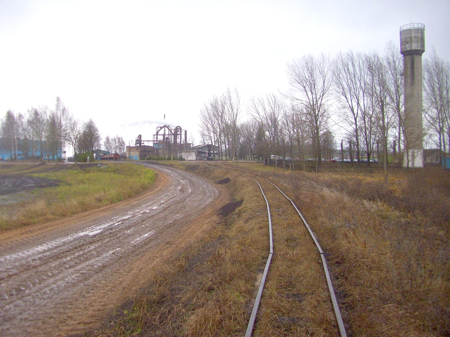 Узкоколейная железная дорога   торфопредприятия   «Красная Звезда» 
  —  фотографии, сделанные в 2011 году (часть 7)