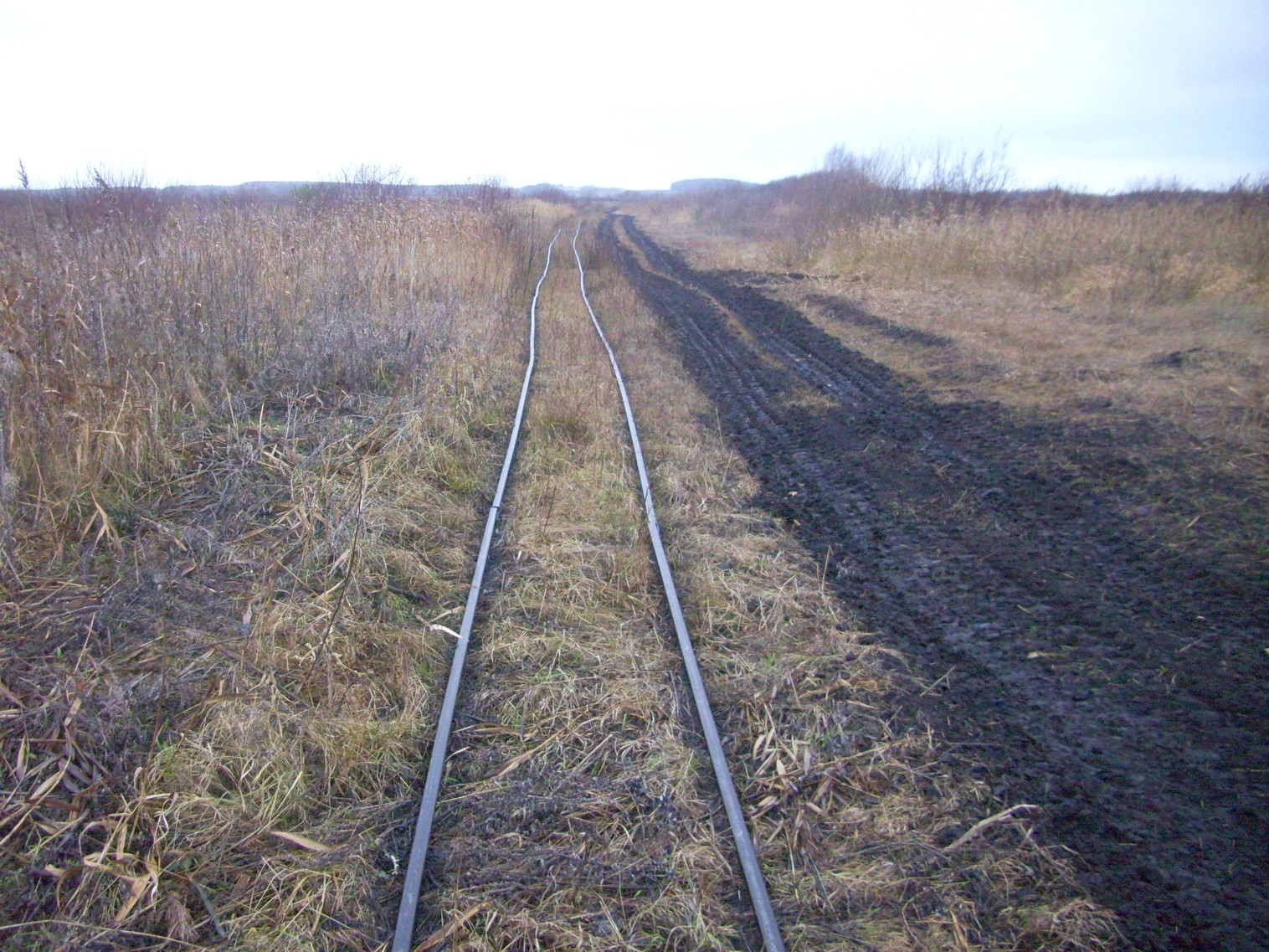 Узкоколейная железная дорога   торфопредприятия   «Красная Звезда» 
  —  фотографии, сделанные в 2011 году (часть 2)