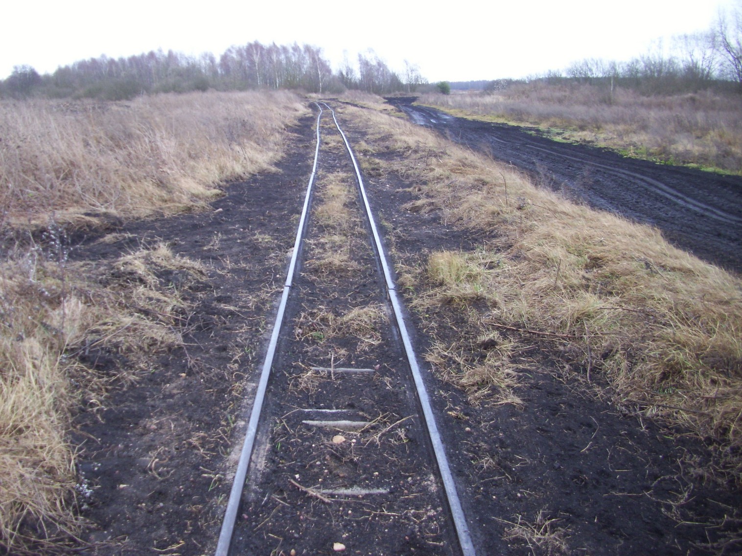 Узкоколейная железная дорога   торфопредприятия   «Красная Звезда» 
  —  фотографии, сделанные в 2011 году (часть 3)