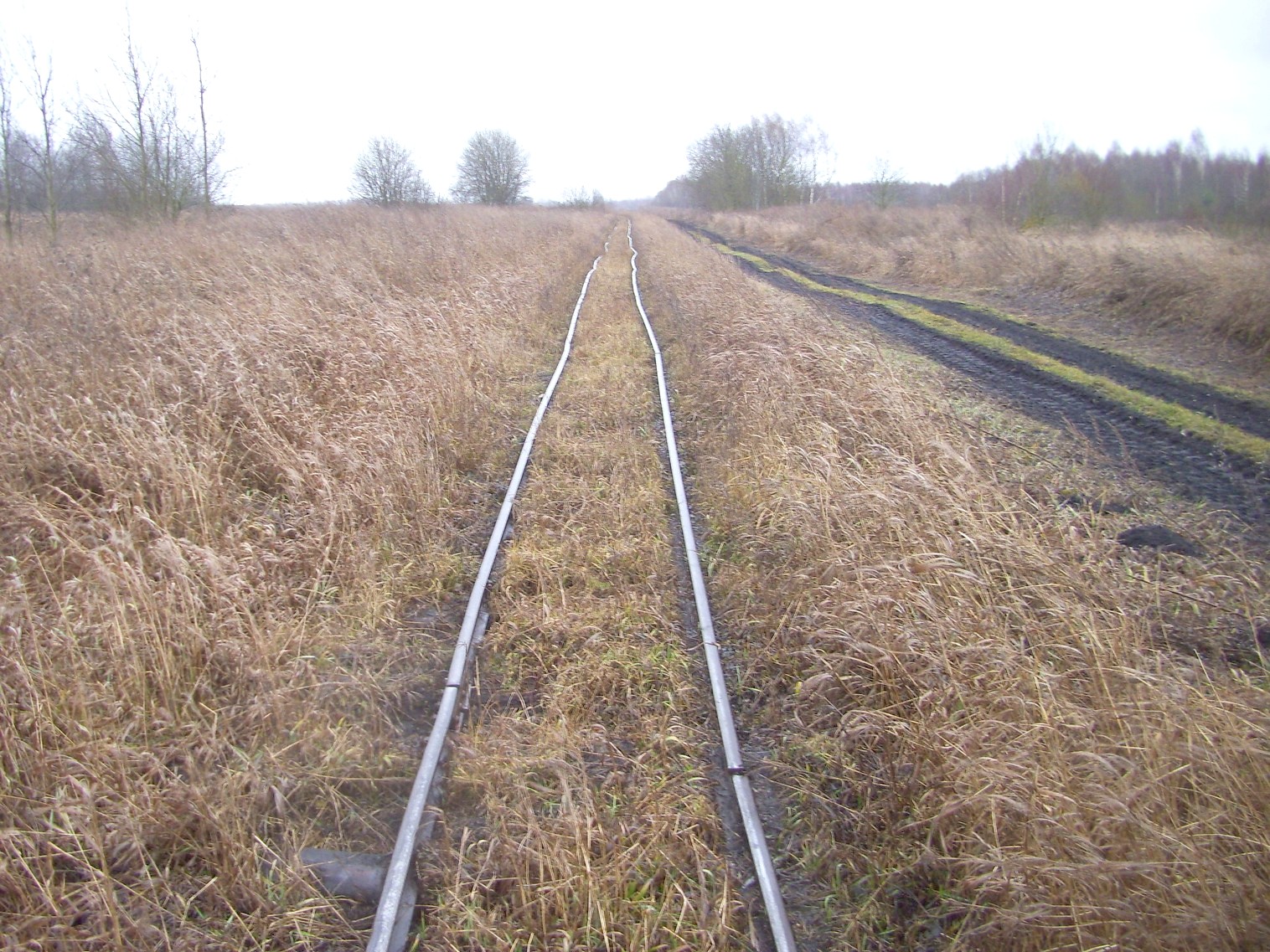 Узкоколейная железная дорога   торфопредприятия   «Красная Звезда» 
  —  фотографии, сделанные в 2011 году (часть 4)
