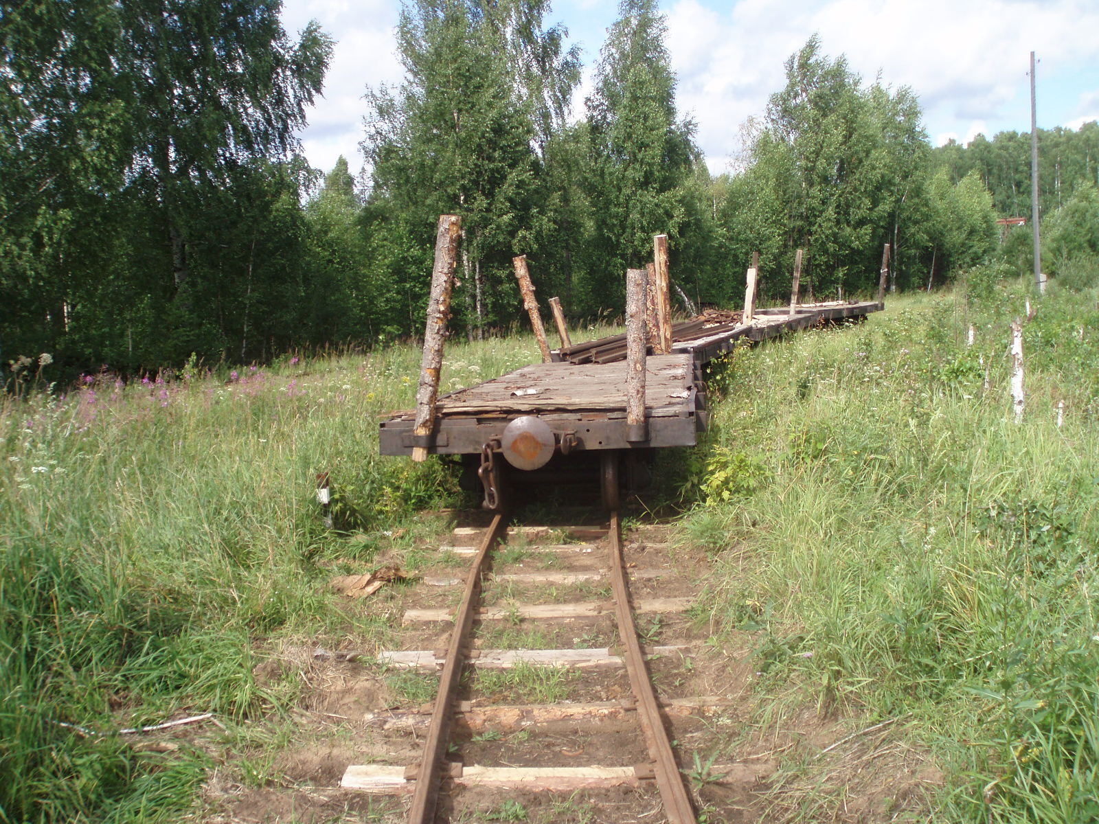 Узкоколейная железная дорога Отворского торфопредприятия  —  фотографии, сделанные в 2007 году (часть 6)
