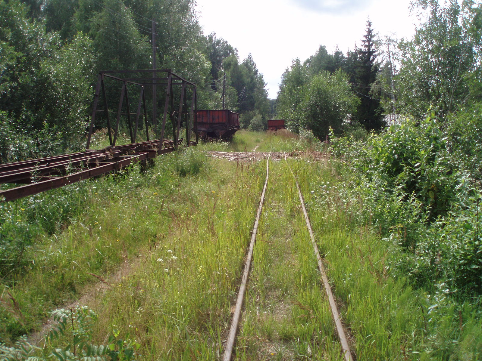 Узкоколейная железная дорога Отворского торфопредприятия  —  фотографии, сделанные в 2007 году (часть 5)
