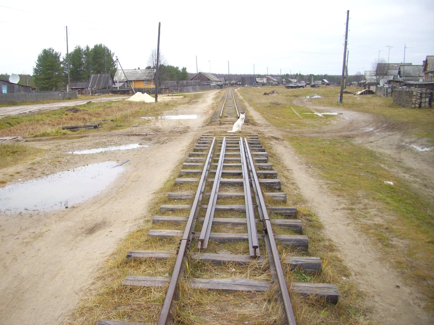 Подрезчихинская узкоколейная железная дорога — фотографии, сделанные в 2009 году (часть 7)