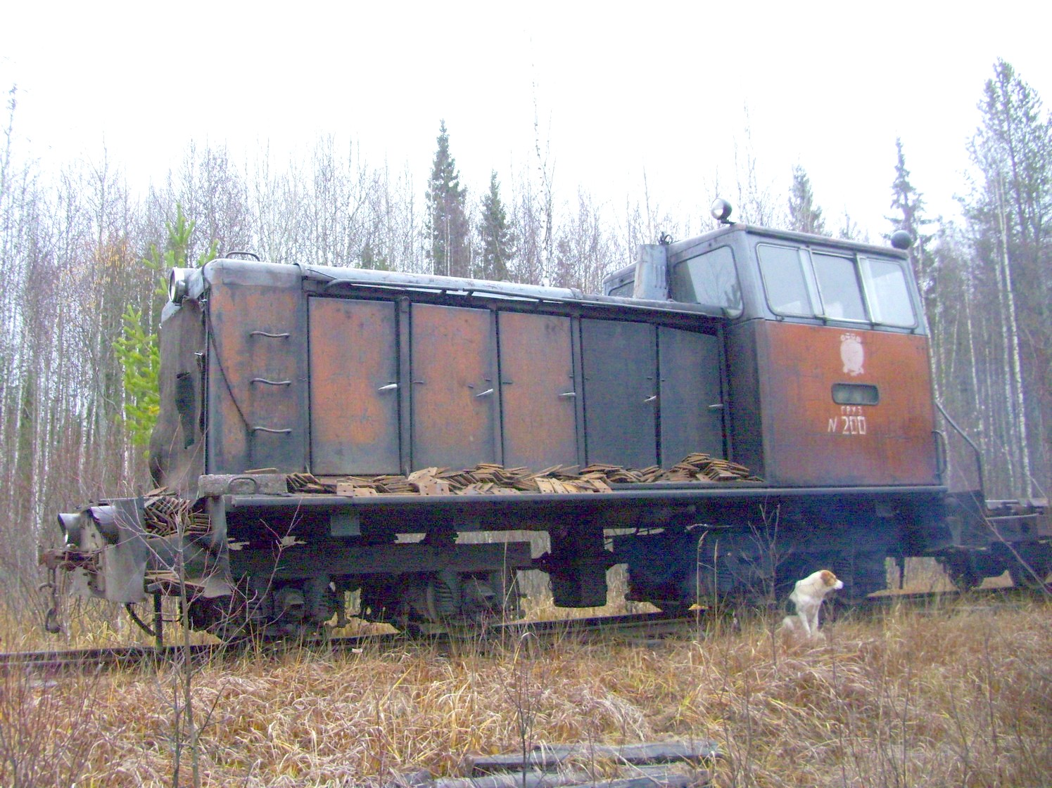 Подрезчихинская узкоколейная железная дорога — фотографии, сделанные в 2009 году (часть 3)